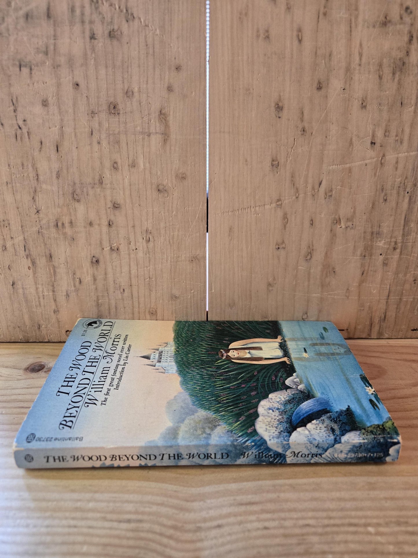 The Wood Beyond The World // William Morris // 1974 // Vintage Paperback Fantasy