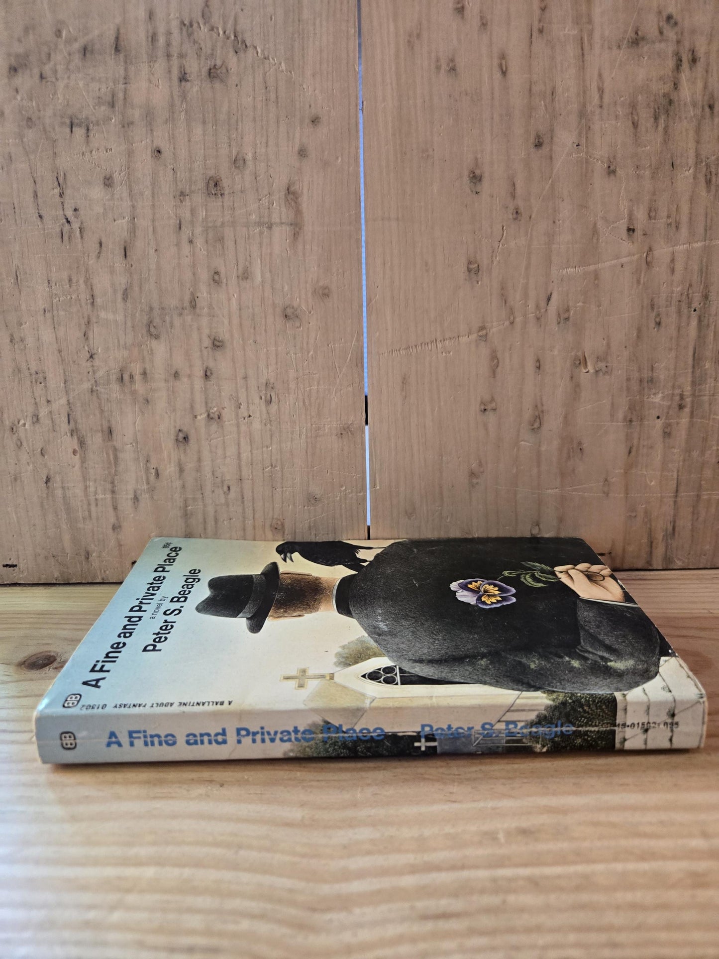 A Fine and Private Place // Peter S. Beagle // 1st Printing Thus 1969 // Vintage Paperback Fantasy