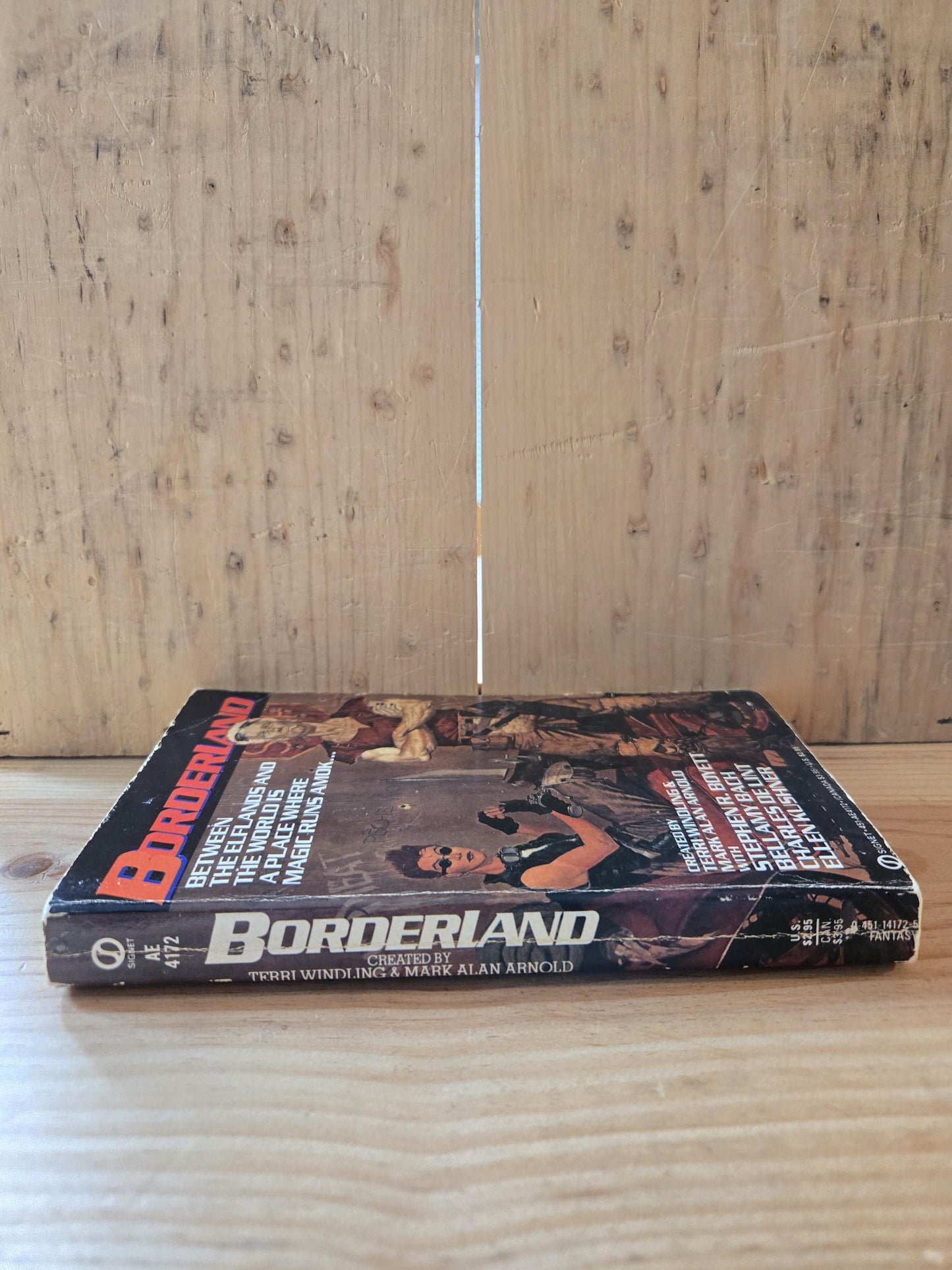 Borderland // Created by Terri Windling and Mark Alan Arnold // 1st Printing 1986 // Vintage Paperback Fantasy