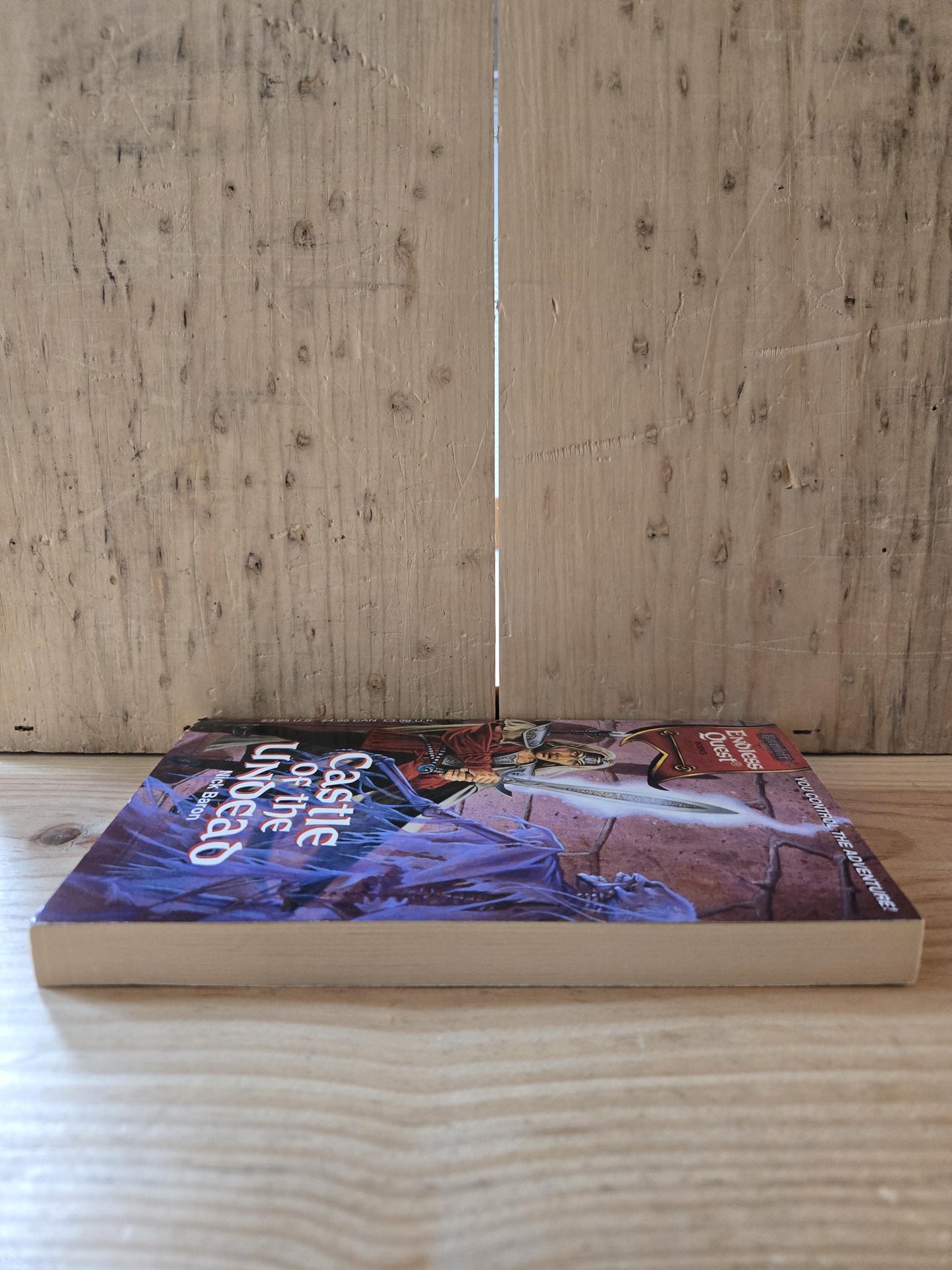 Ravenloft Endless Quest: Castle of the Undead // Nick Baron // 1st Printing 1994 // Vintage Paperback Fantasy Dungeons & Dragons