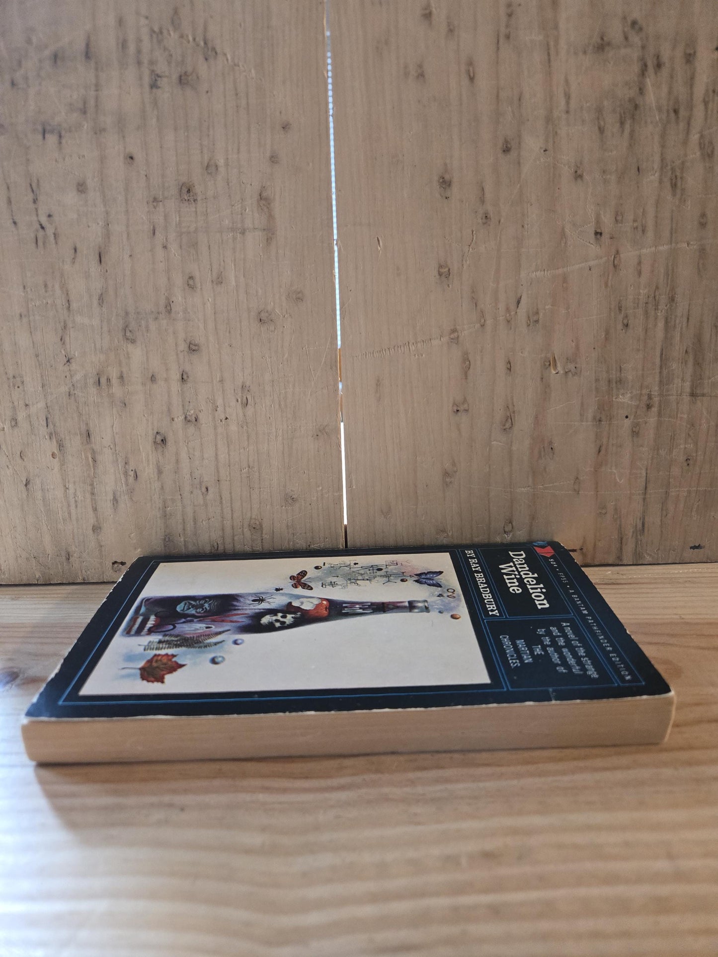 Dandelion Wine // Ray Bradbury // 4th Printing 1964 // Vintage Paperback