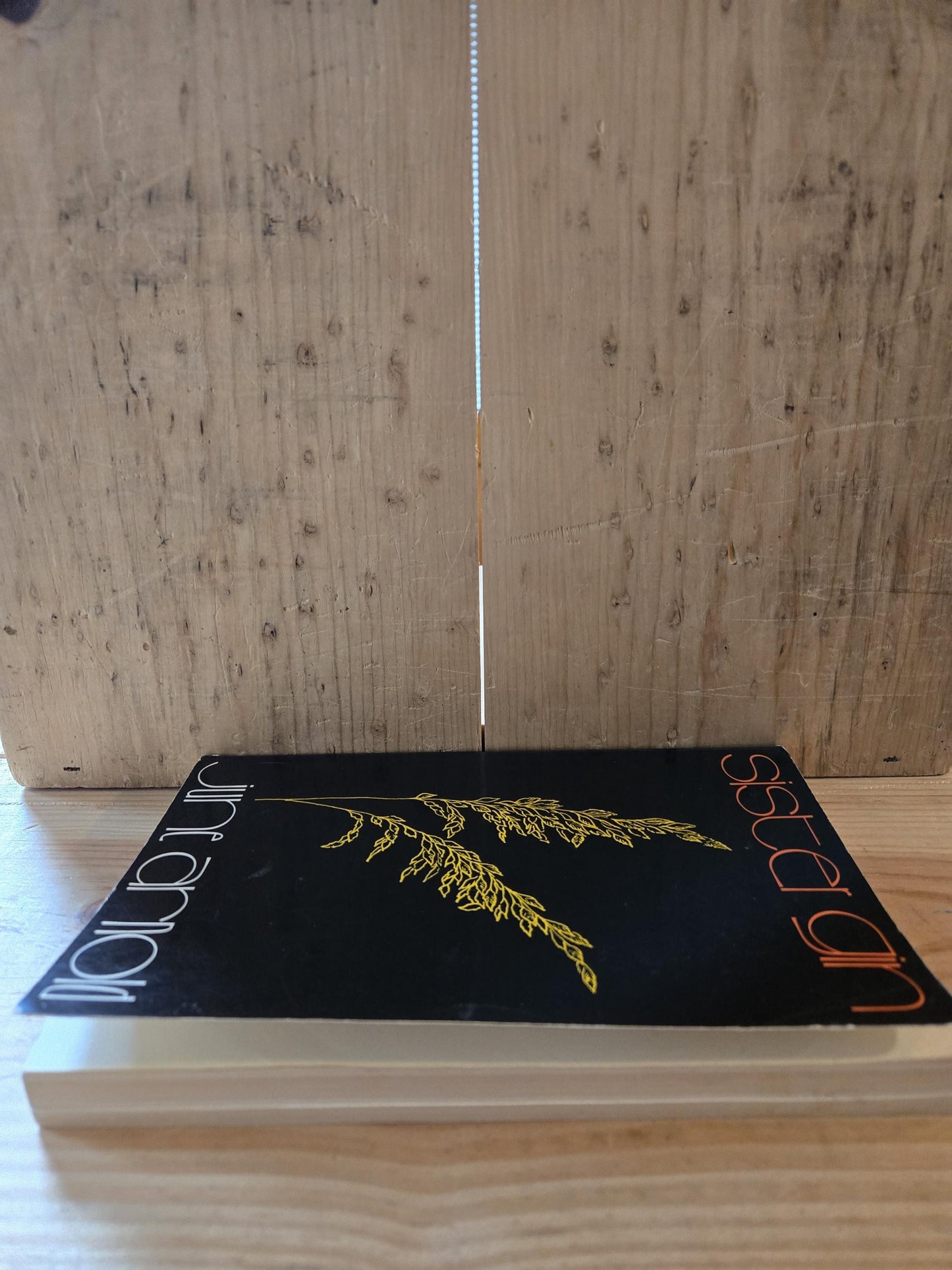 Sister Gin // June Arnold // 1st Paperback Printing 1975 // Vintage Paperback