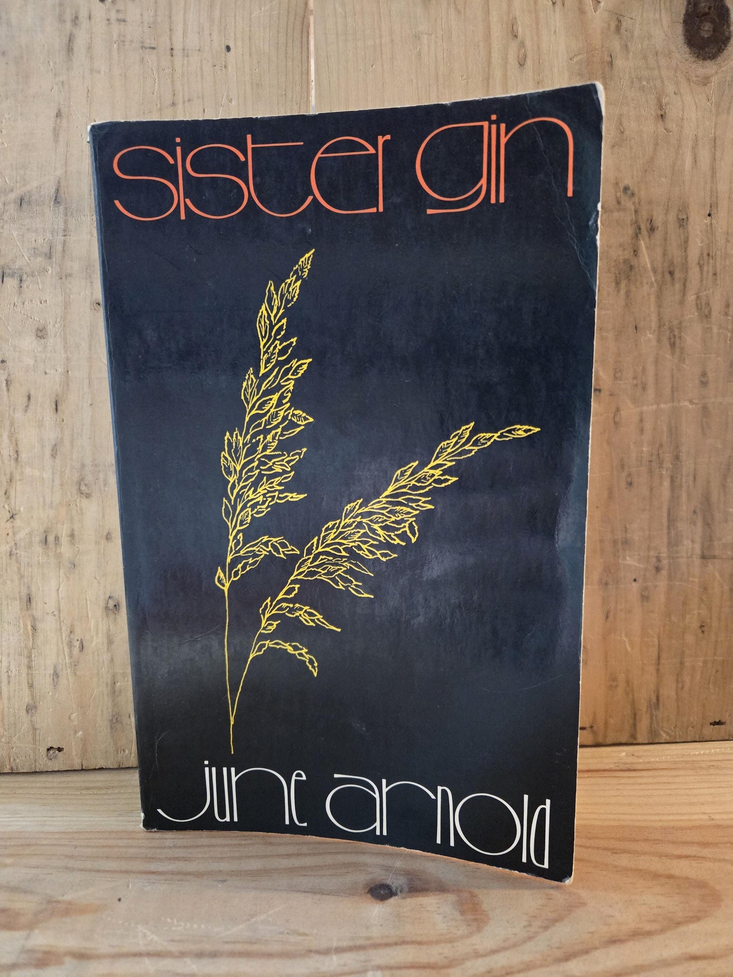 Sister Gin // June Arnold // 1st Paperback Printing 1975 // Vintage Paperback