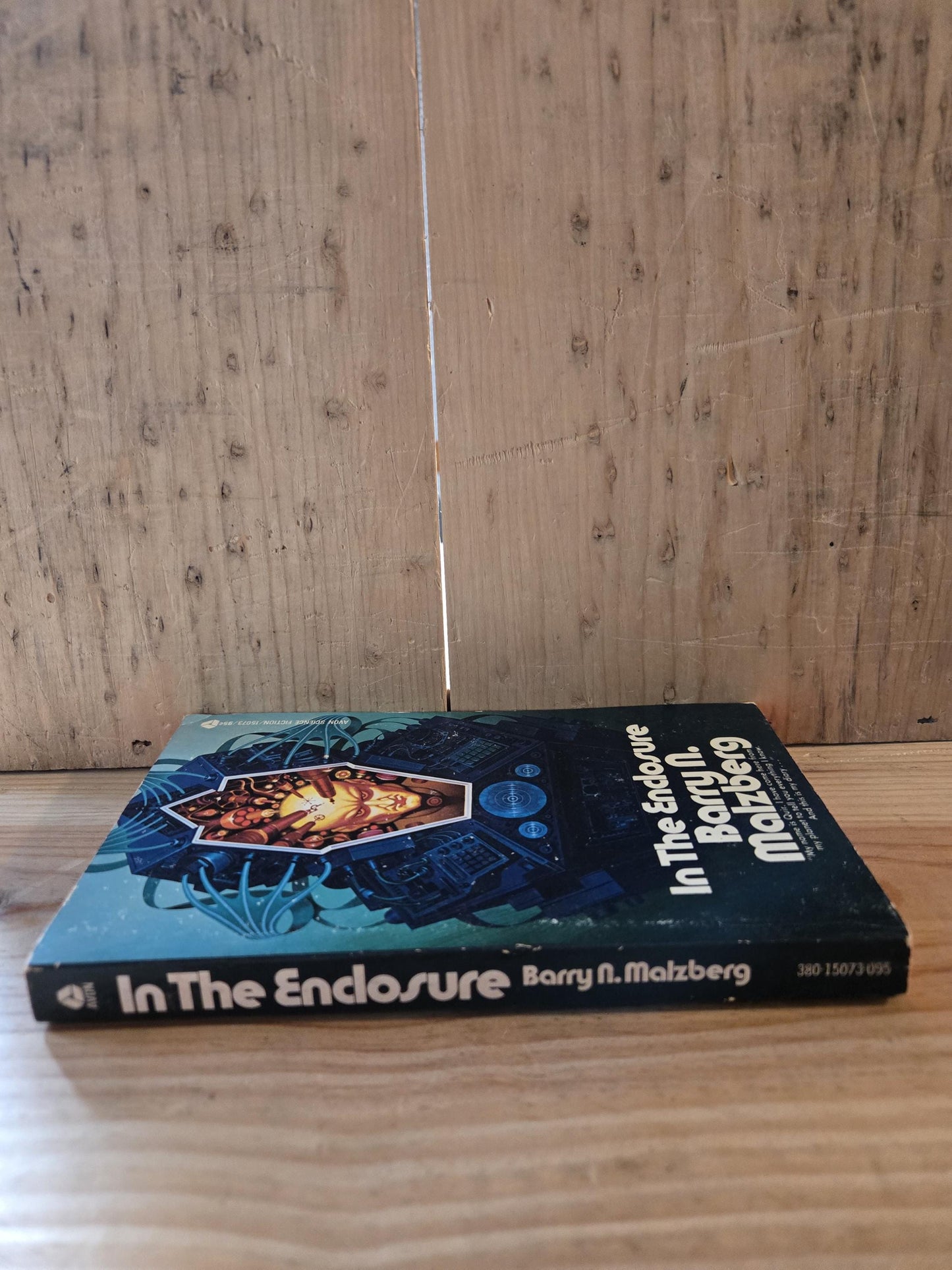 In the Enclosure // Barry N. Malzberg // 1st Avon Printing 1973 // Vintage Paperback Sci-fi