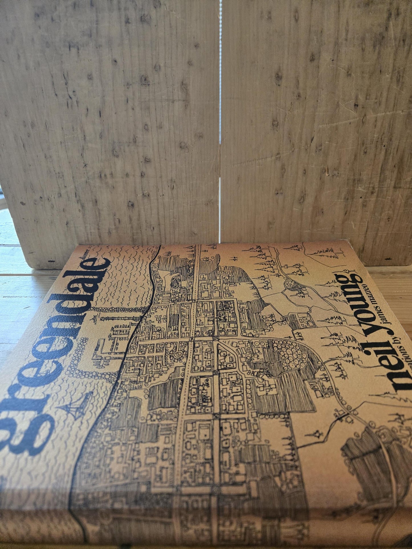 Greendale // Neil Young // 2004 // Vintage Paperback Art Music