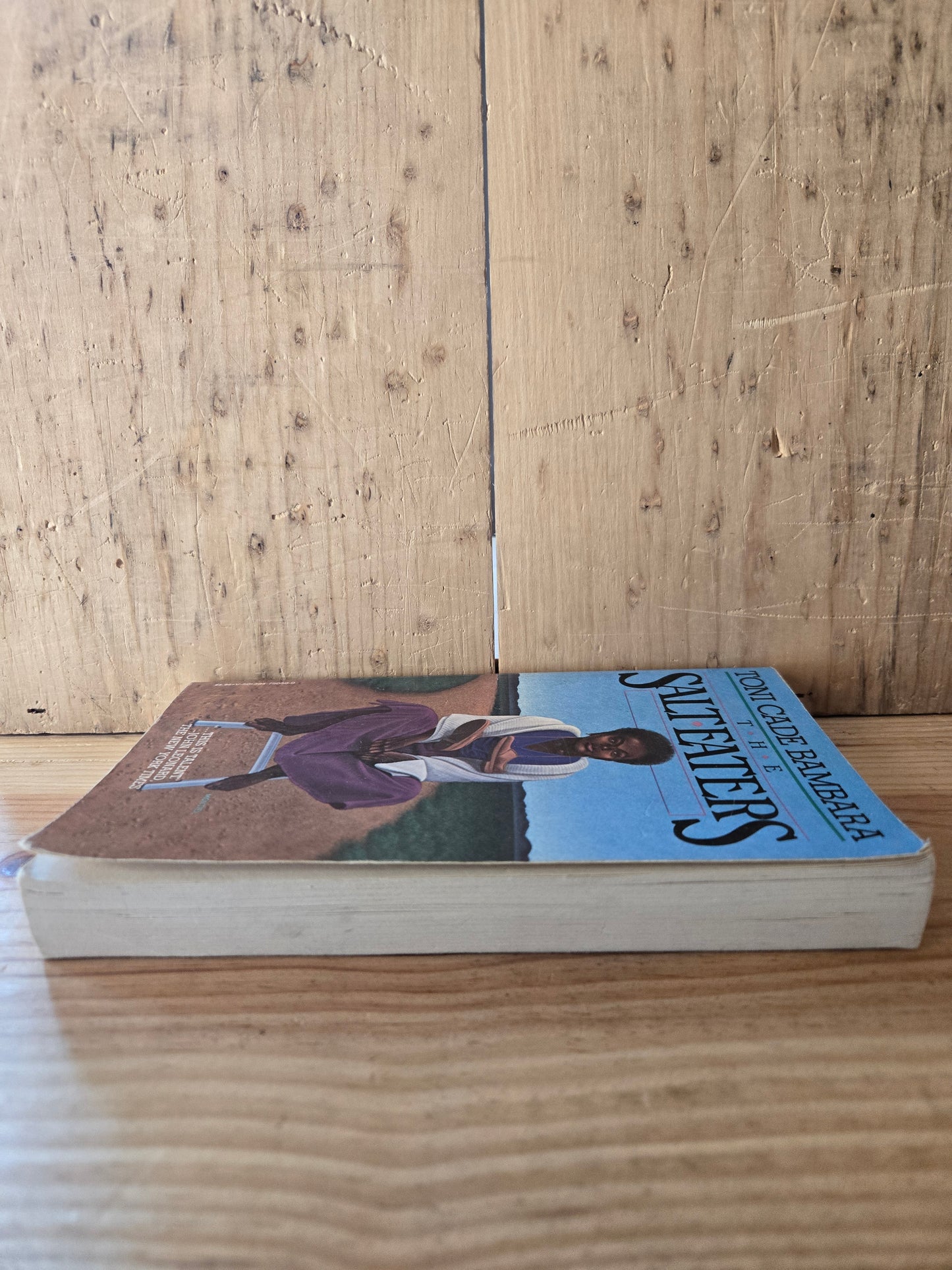 The Salt Eaters // Toni Cade Bambara // 1981 // Vintage Paperback