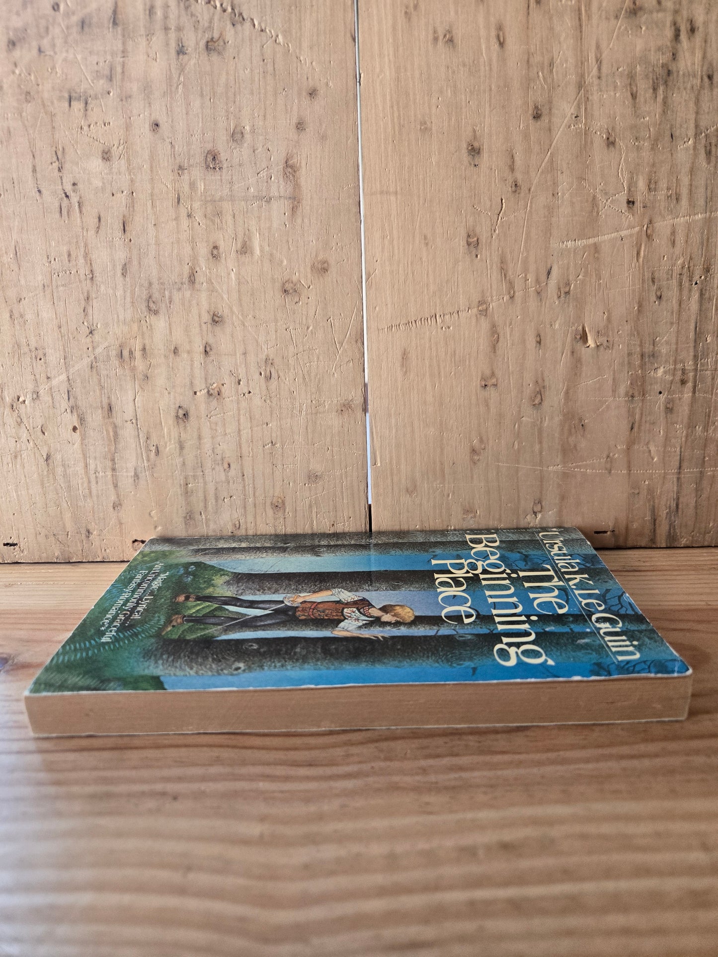 The Beginning Place // Ursula K. Le Guin // 1981 // Vintage Paperback Fantasy