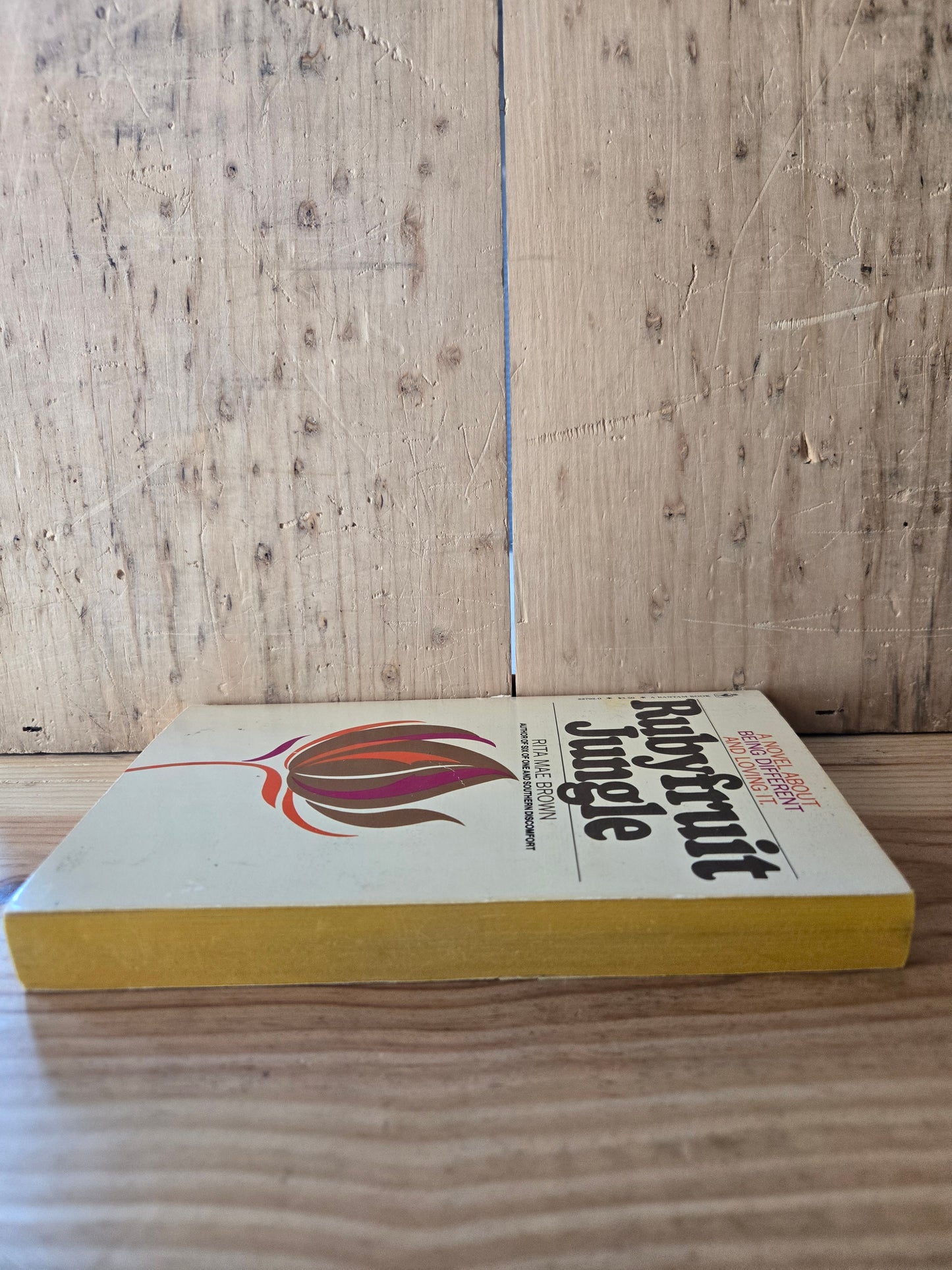 Rubyfruit Jungle // Rita Mae Brown // 1980 // Vintage Paperback