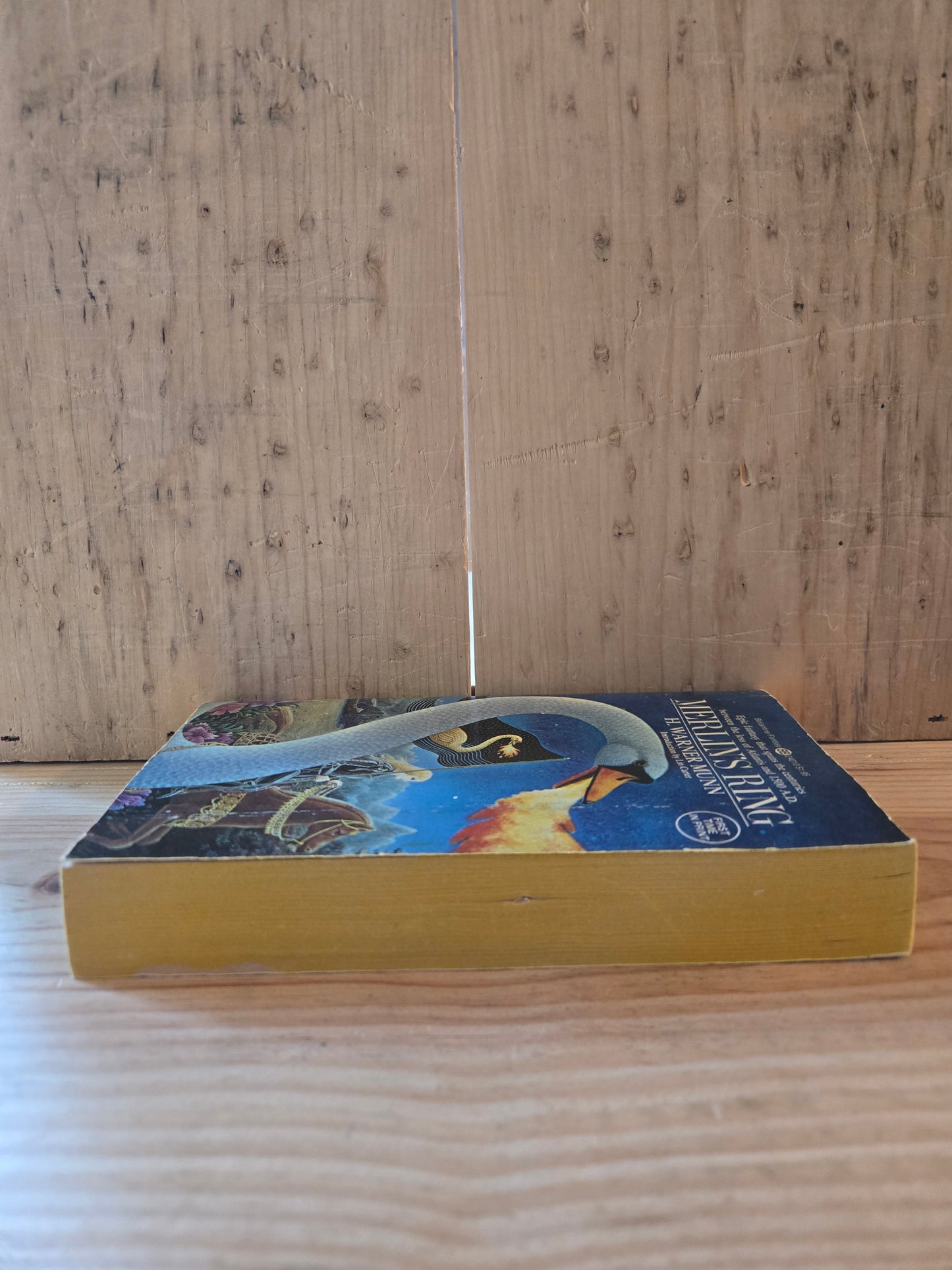 Merlin's Ring // H. Warner Munn // 1976 // Vintage Paperback Fantasy