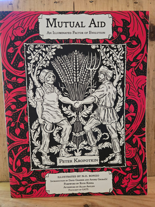 Mutual Aid: An Illuminated Factor of Evolution // Peter Kropotkin // 2021 // Paperback