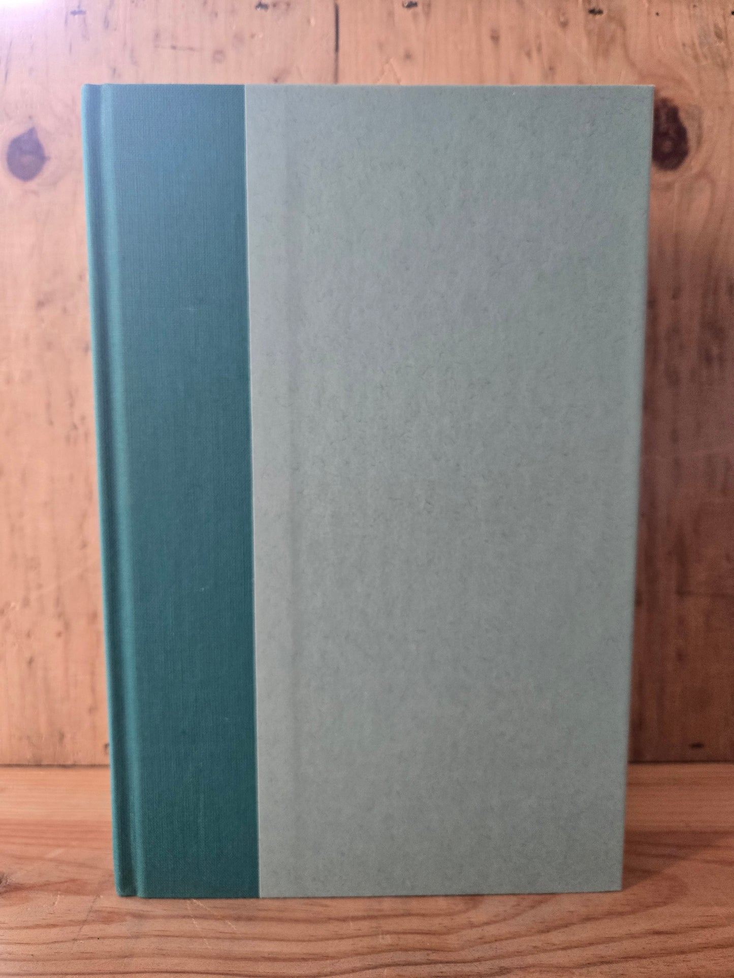 The Fifth Sacred Thing // Starhawk // 1st Edition 1st Printing 1993 // Vintage Hardcover Fantasy Post-Apocalyptic