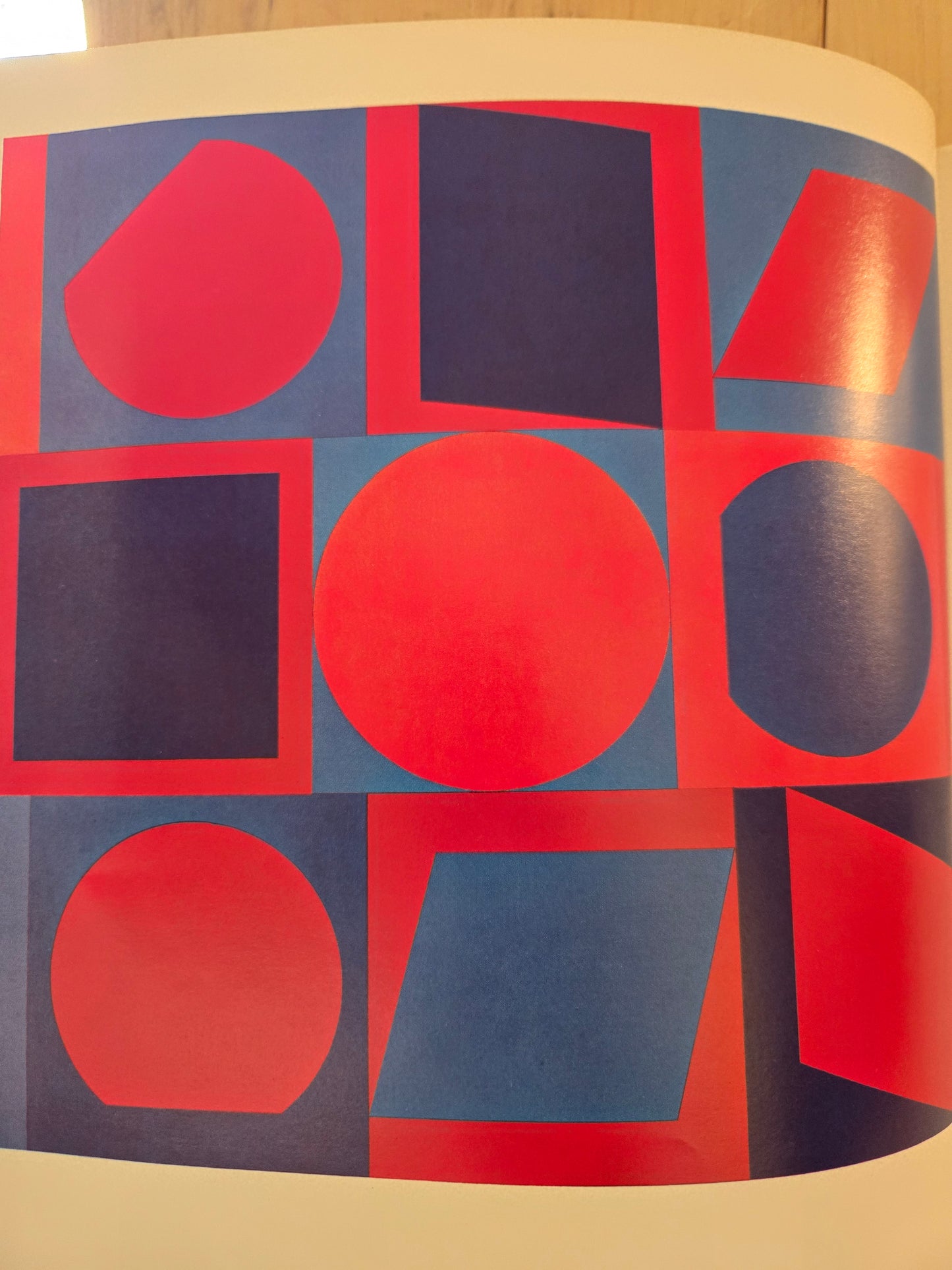 The Responsive Eye - The Museum of Modern Art // William C. Seitz // 1965 // Vintage Art Exhibit Book Guide