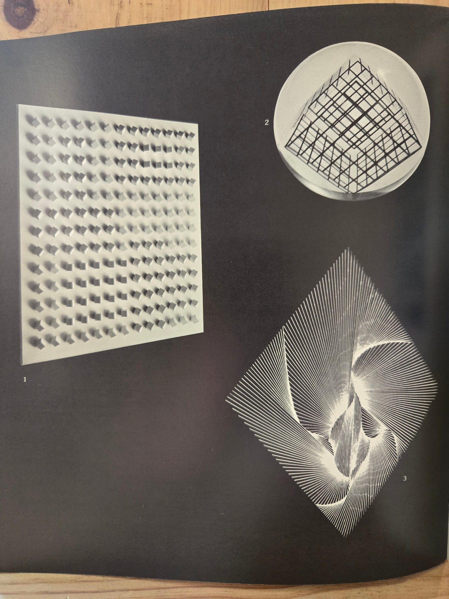 The Responsive Eye - The Museum of Modern Art // William C. Seitz // 1965 // Vintage Art Exhibit Book Guide