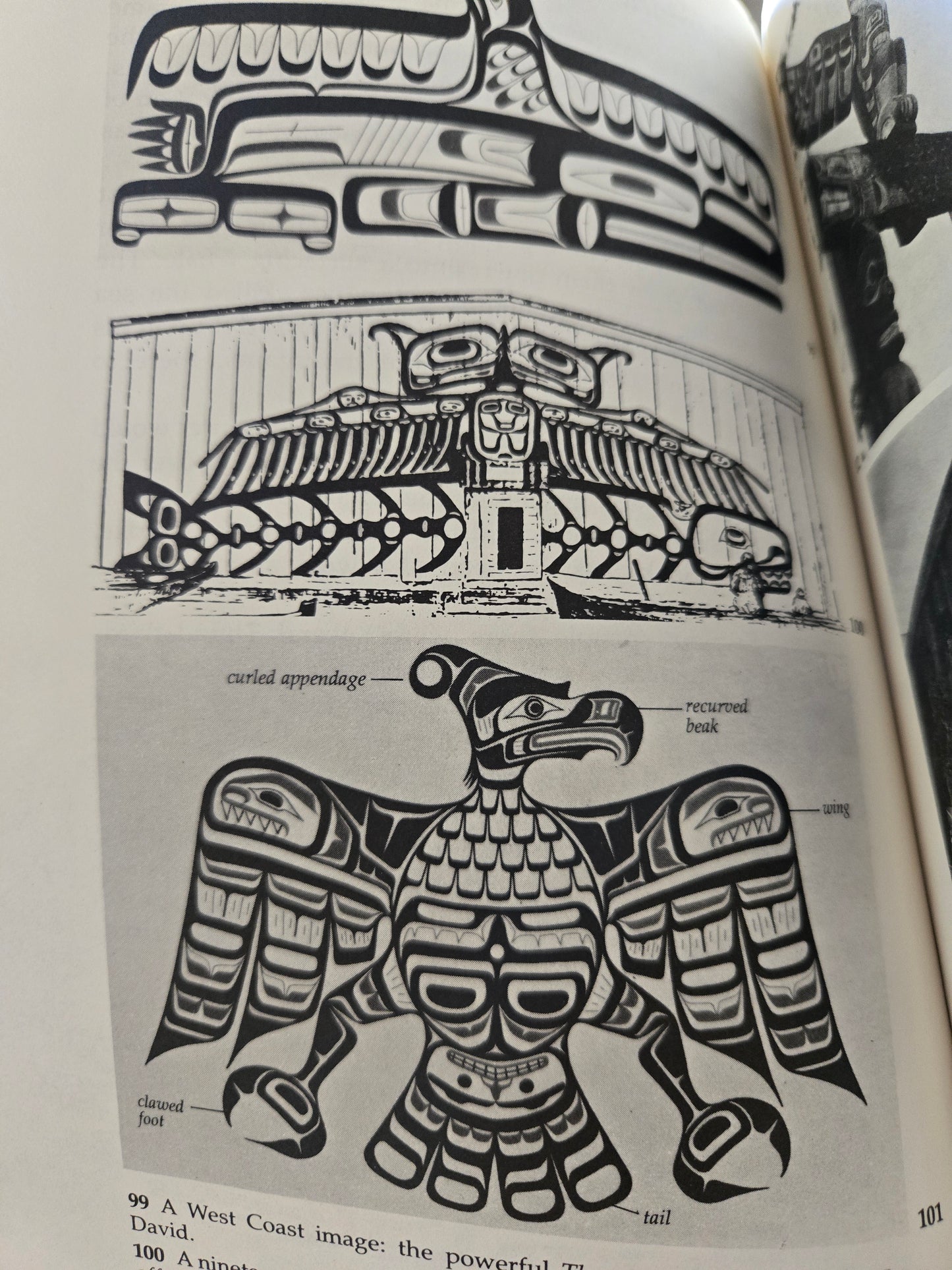 Looking at Indian Art of the Northwest Coast // Hilary Stewart // 1979 // Vintage Paperback