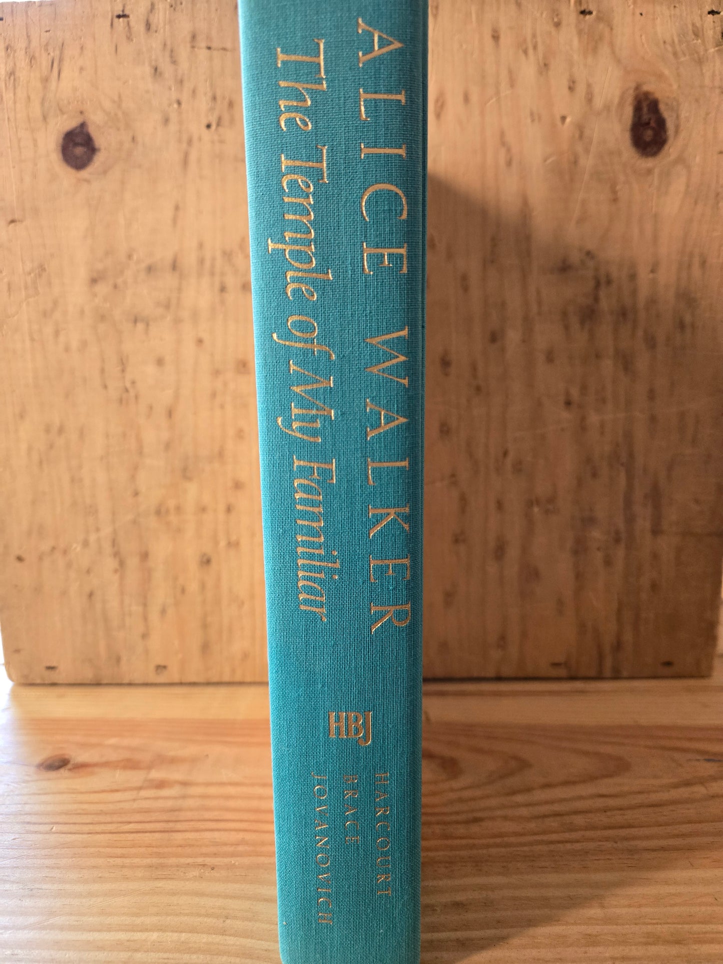 The Temple of My Familiar // Alice Walker // 1st Edition 1989 // Vintage Hardcover