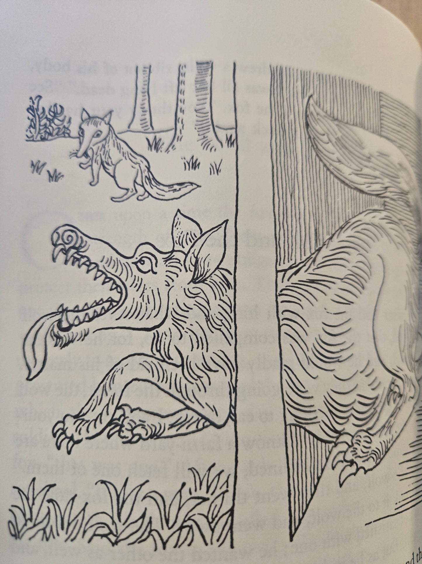 The Complete Grimm's Fairy Tales // The Pantheon Fairy Tale & Folklore Library // 2017 // Paperback