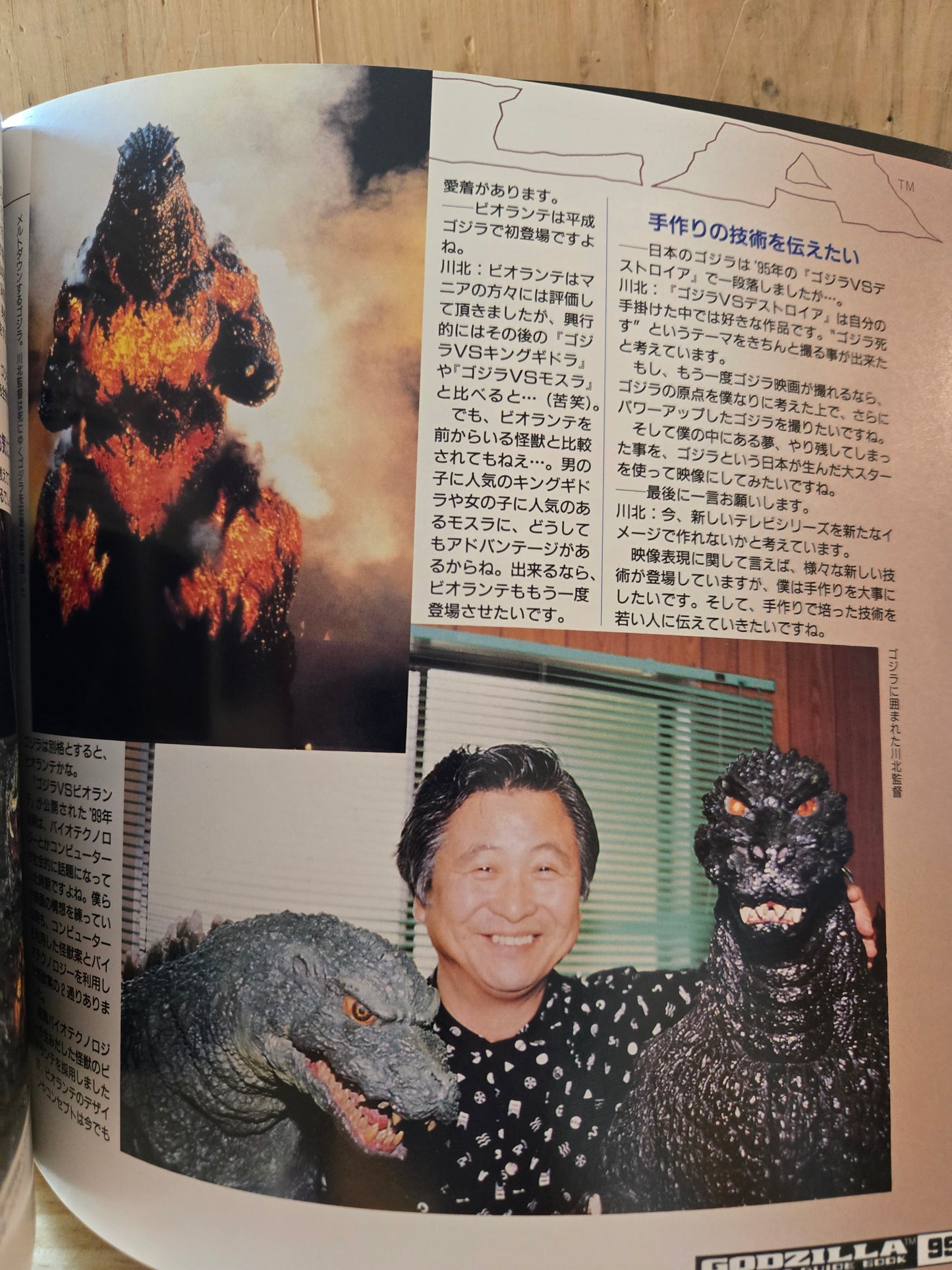 Godzilla Perfect Guide Book // 1998 // Vintage Paperback Godzilla Movies