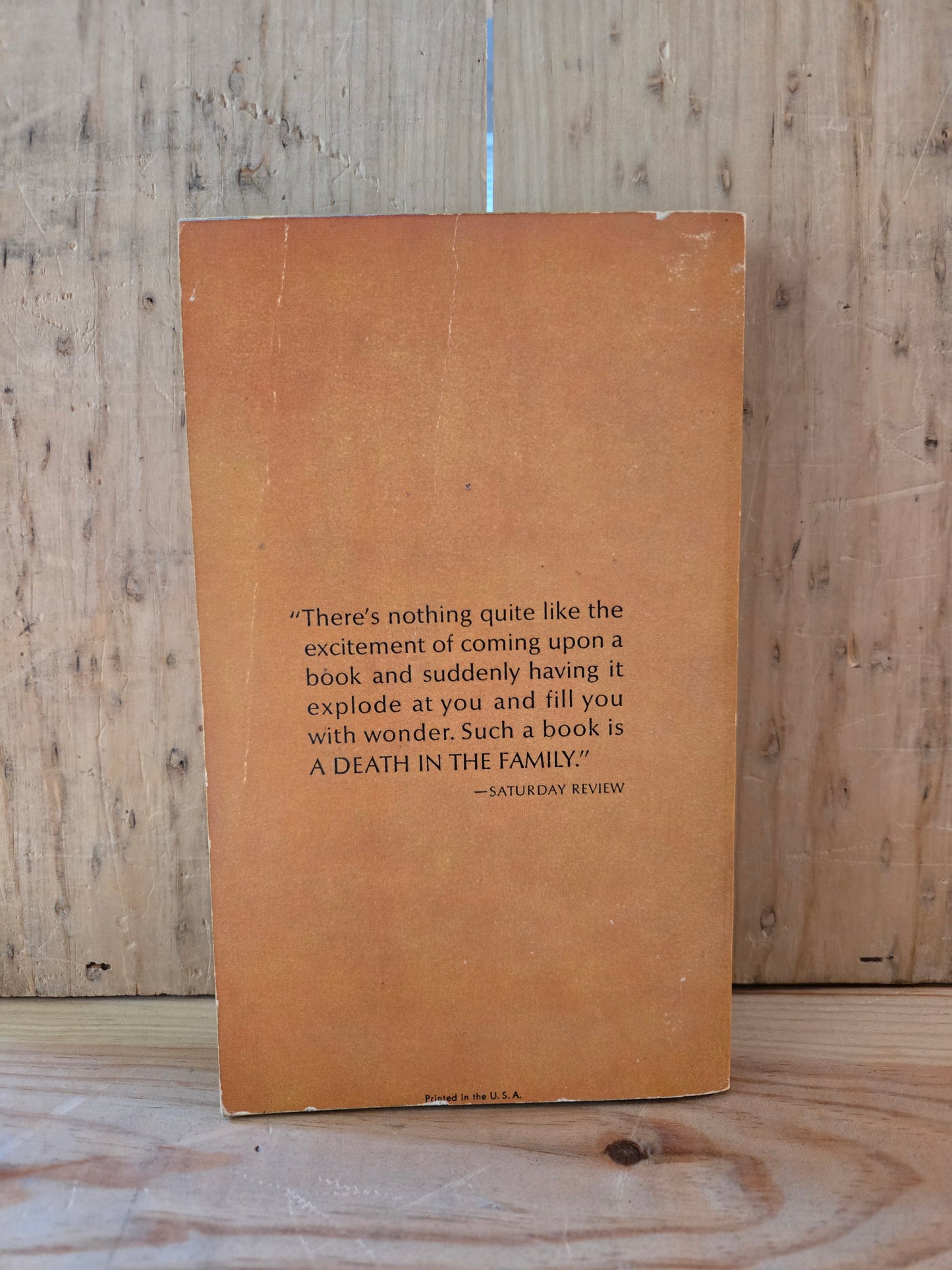 A Death in the Family // James Agee // 1964 // Vintage Paperback