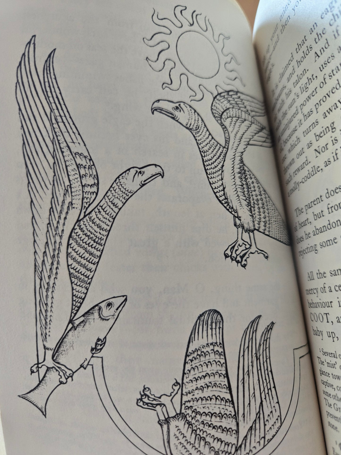 The Bestiary: A Book of Beasts // Translated and Edited by T.H. White // 1960 // Vintage Paperback Mythology