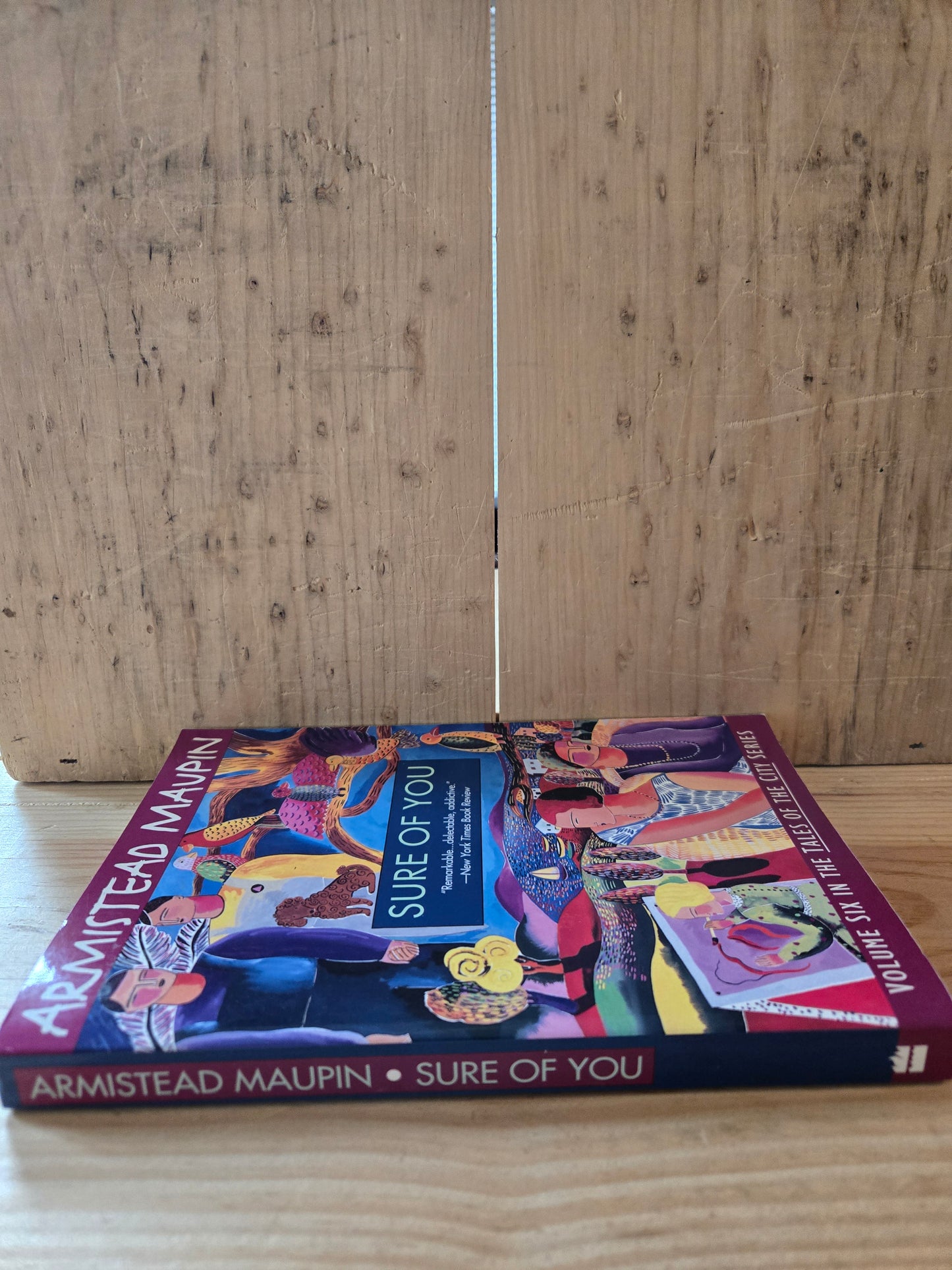 Sure of You // Armistead Maupin // 1994 // Vintage Paperback