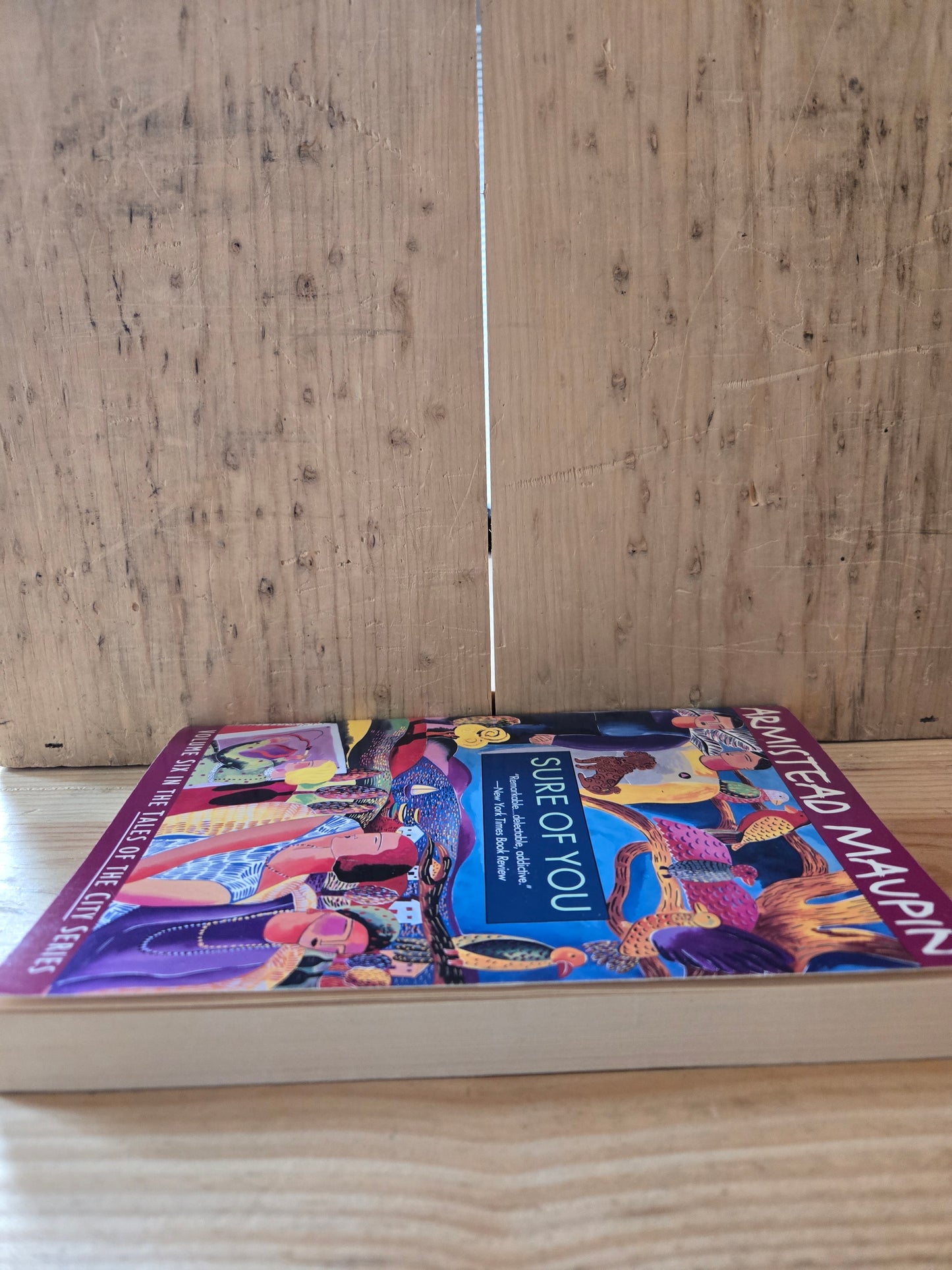 Sure of You // Armistead Maupin // 1994 // Vintage Paperback