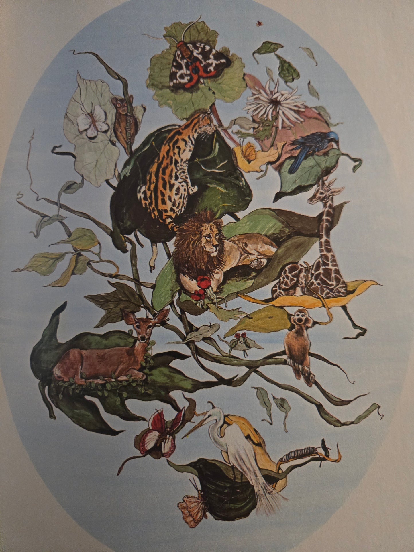 Tiger Flower // Robert Vavra and Fleur Cowles // 1969 // Vintage Hardcover Art Illustrations Book