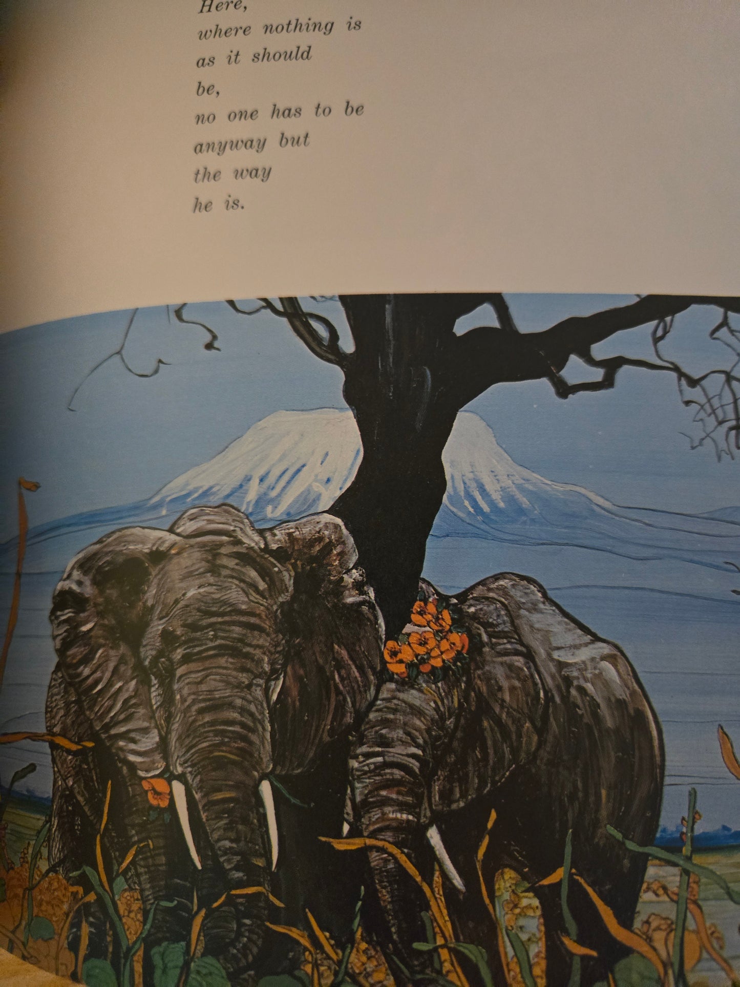 Tiger Flower // Robert Vavra and Fleur Cowles // 1969 // Vintage Hardcover Art Illustrations Book