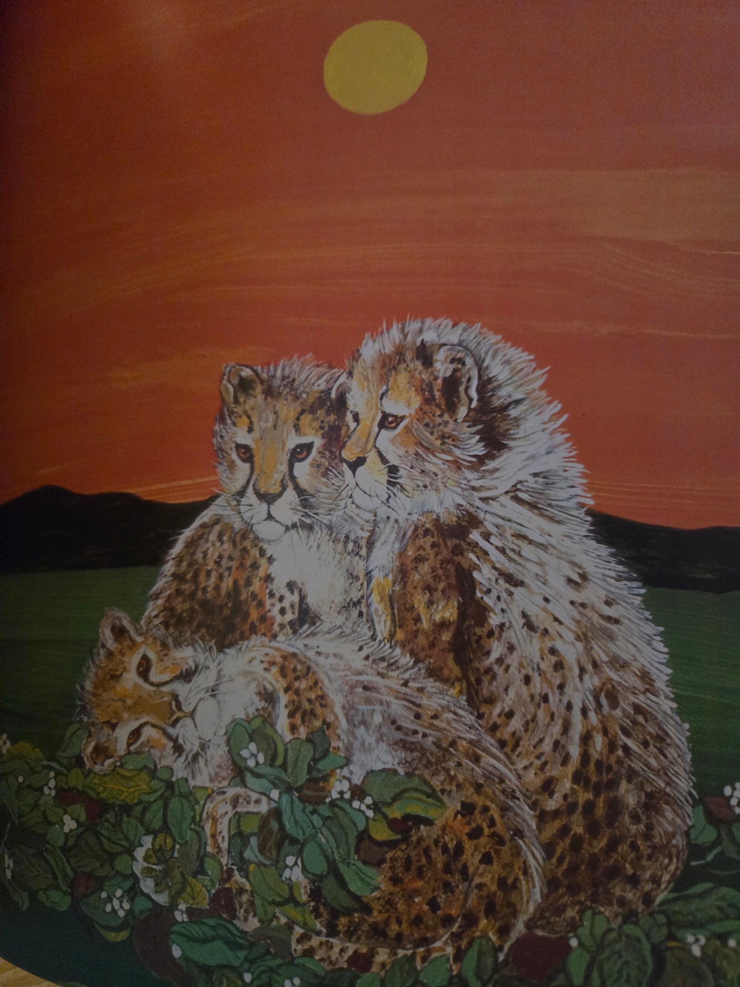 Tiger Flower // Robert Vavra and Fleur Cowles // 1969 // Vintage Hardcover Art Illustrations Book