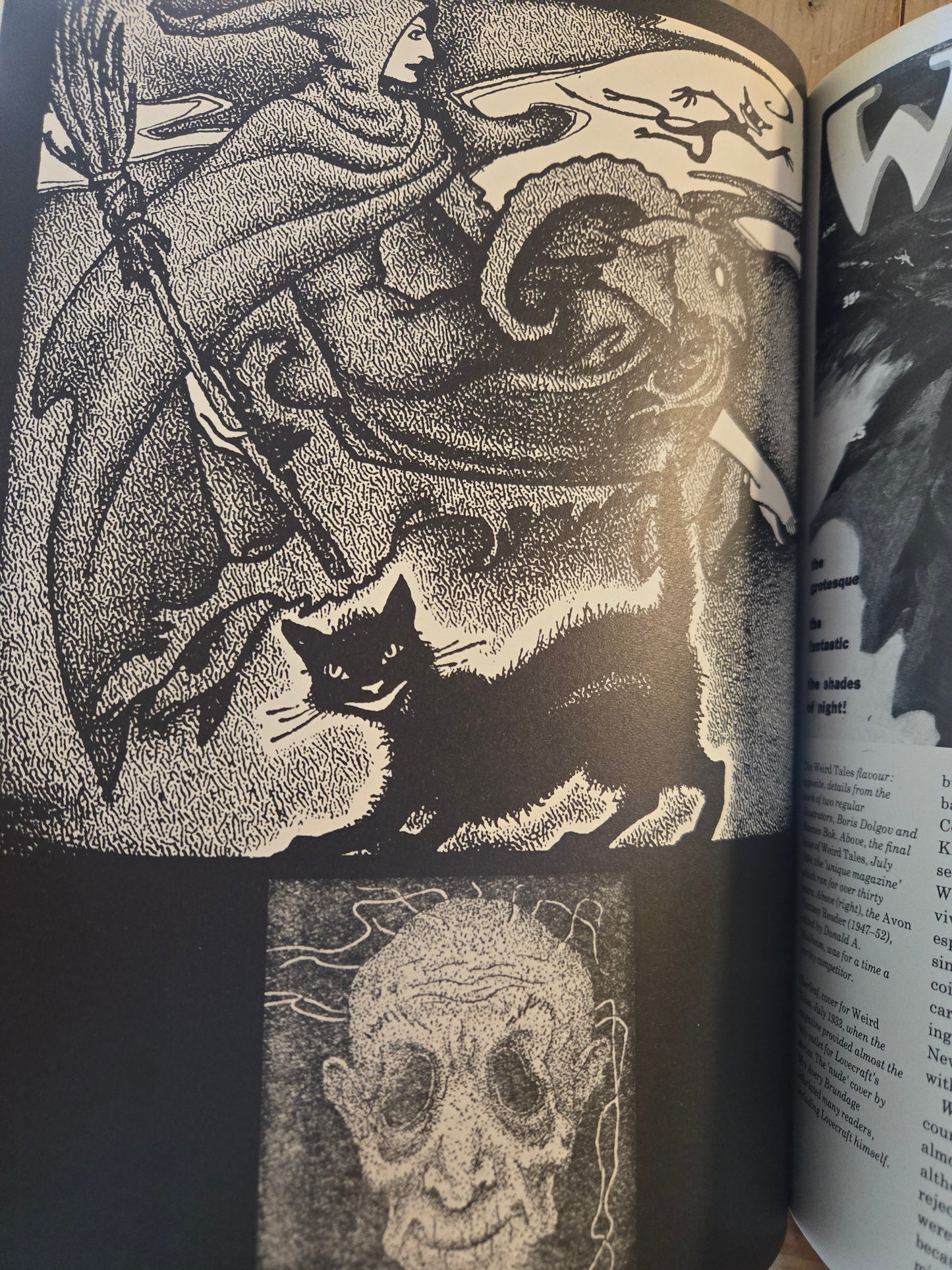 The Fantasy Book: An Illustrated History from Dracula to Tolkien // Franz Rottensteiner // 1978 // Vintage Paperback