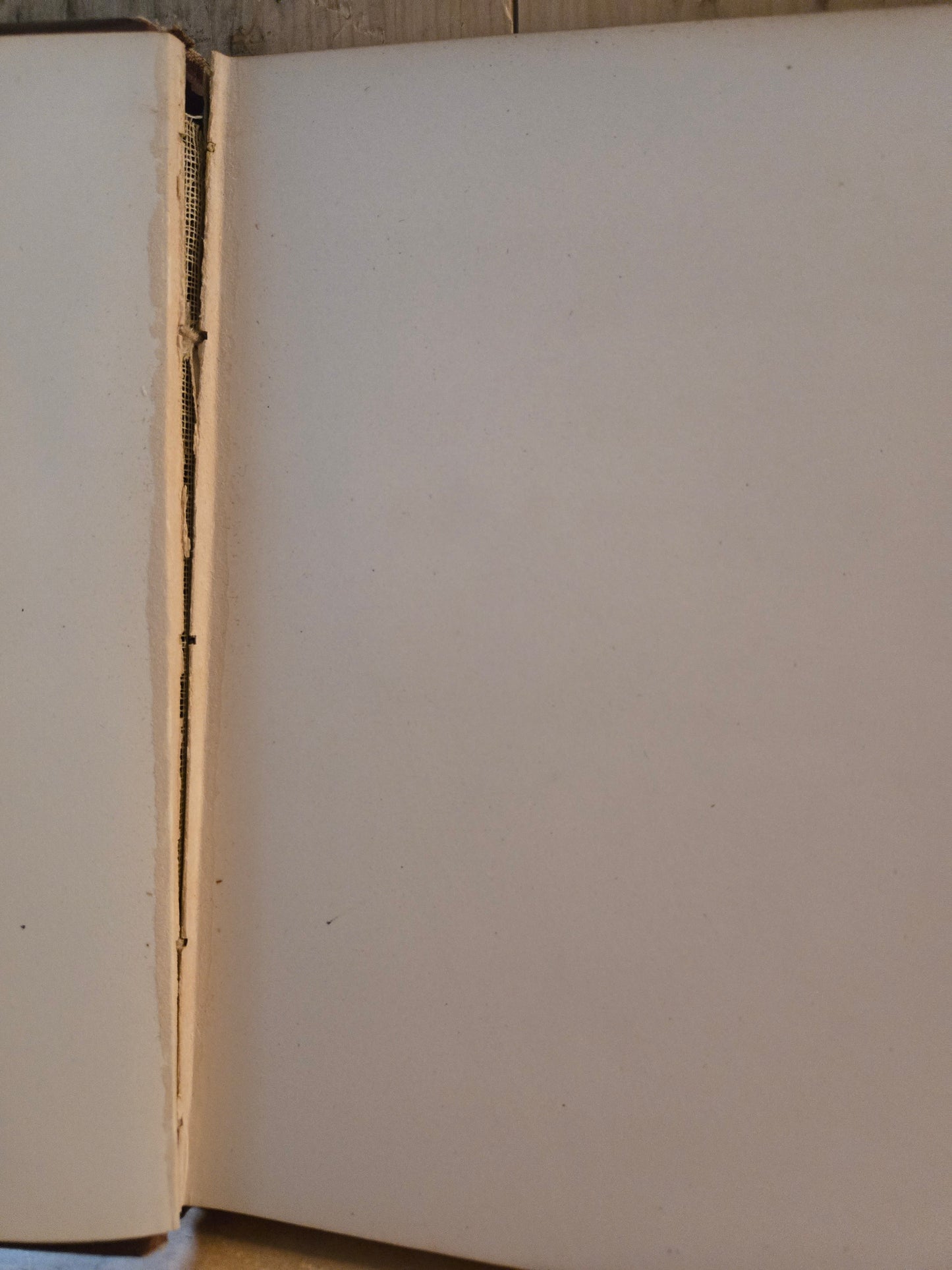 The Night Before Christmas // Clement C. Moore // 1883 // Vintage Antiquarian Illustrated Book Poetry