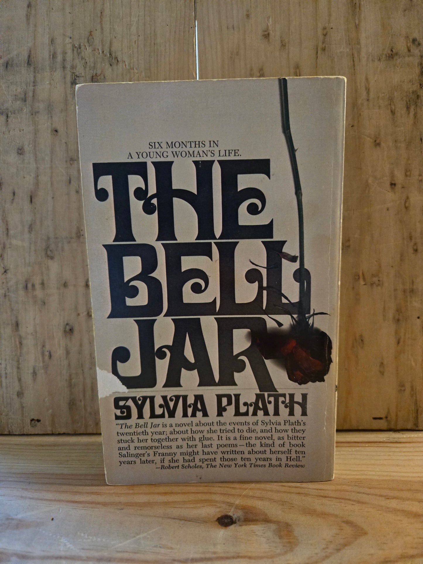 The Bell Jar // Sylvia Plath // 13th Printing 1972 // Vintage Paperback