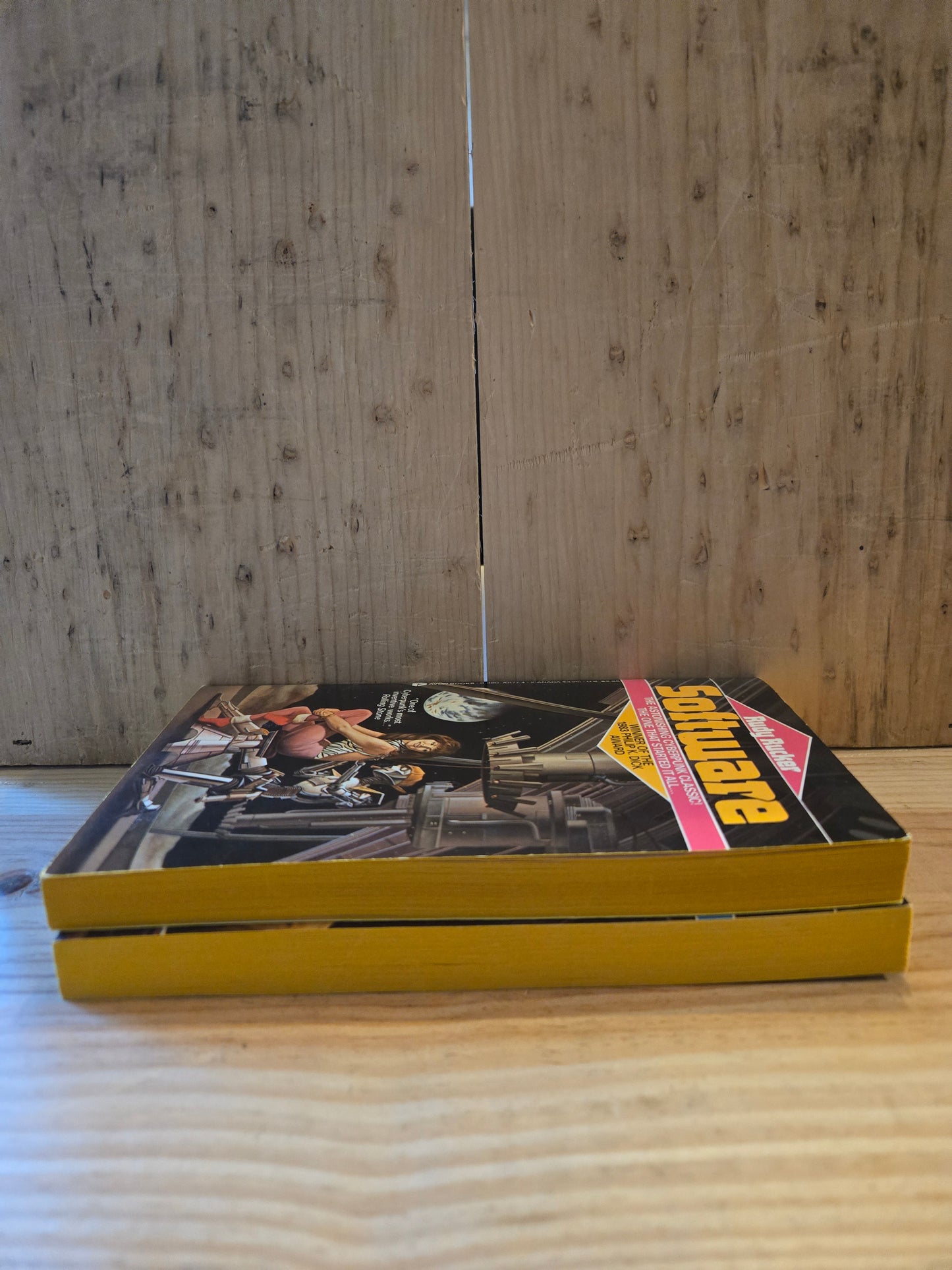 Software and Wetware (2 Book Set) // Rudy Rucker // 1987-1988 // Vintage Paperback Cyberpunk Sci-fi