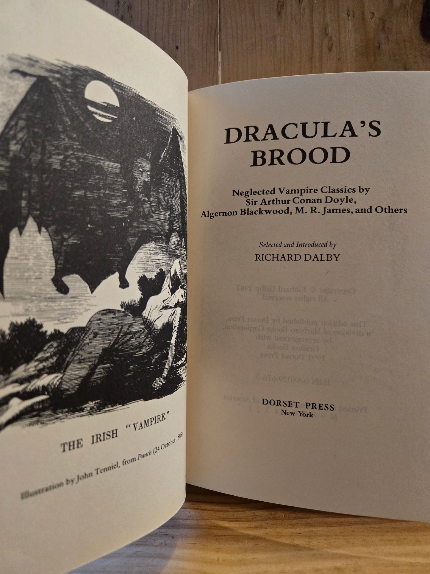 Dracula's Brood // Selected and Introduced by Richard Dalby // 1991 // Vintage Hardcover Horror Suspense