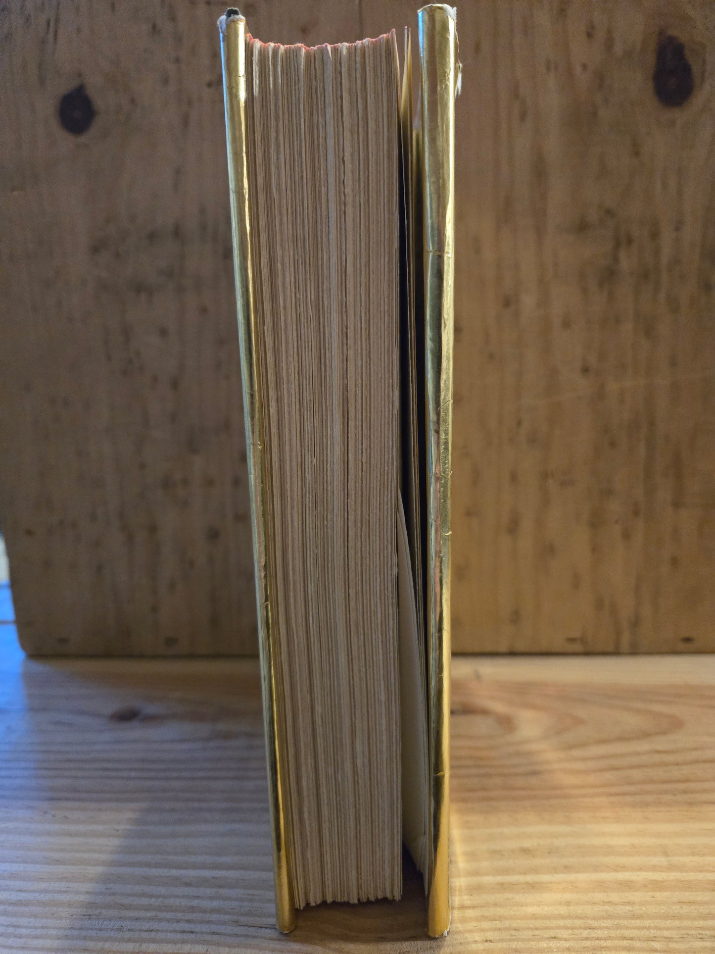 Interview with the Vampire // Anne Rice // 1st Edition 1st Printing 1976 // Vintage Hardcover Horror Thriller