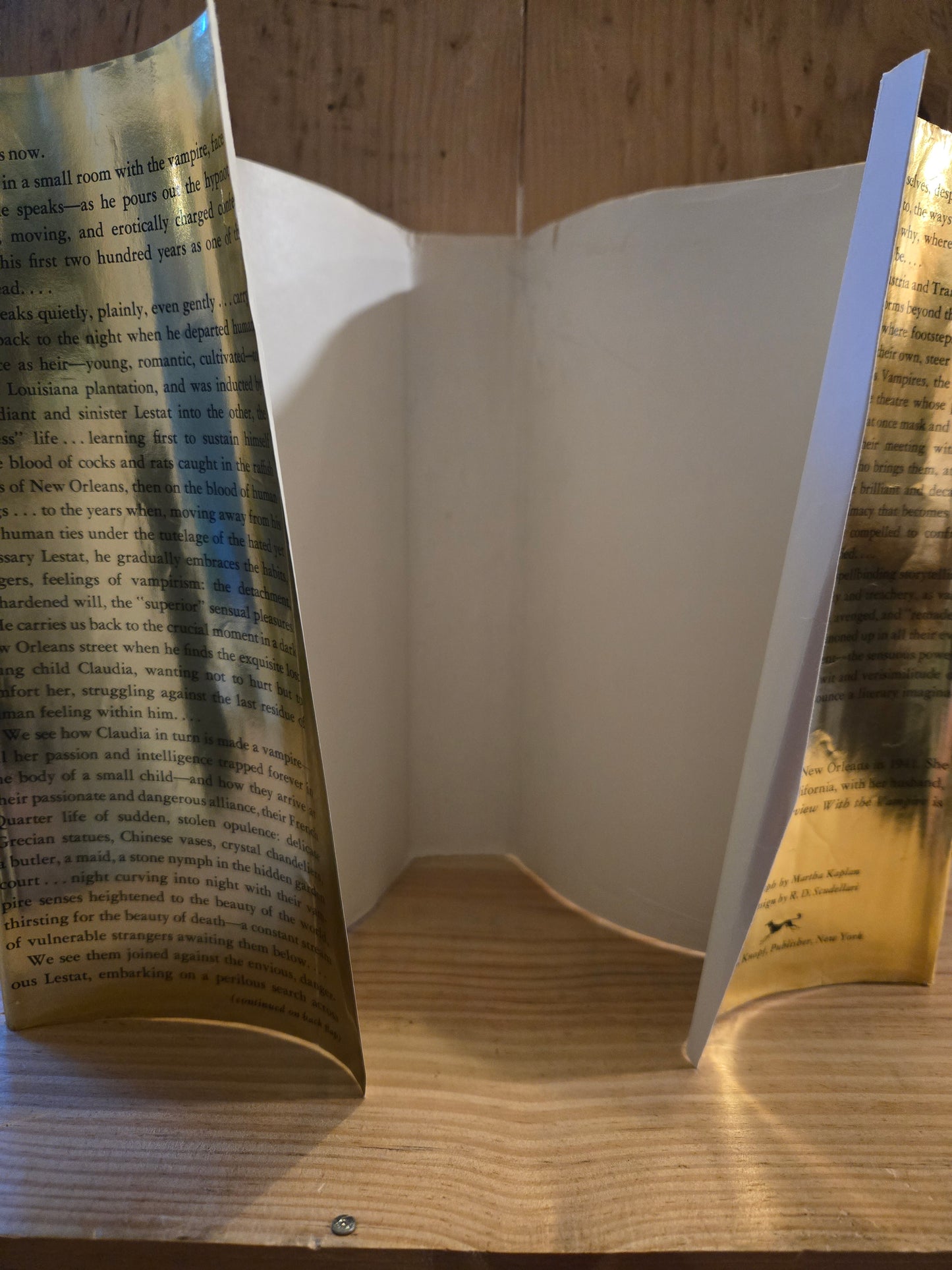 Interview with the Vampire // Anne Rice // 1st Edition 1st Printing 1976 // Vintage Hardcover Horror Thriller