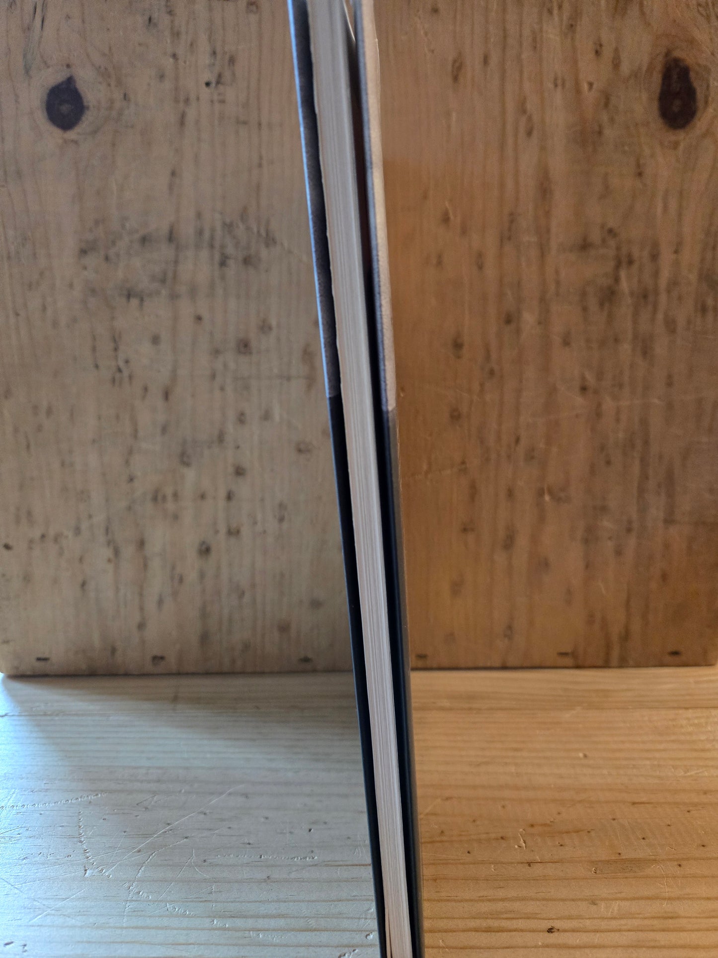 Nature Poem // Tommy Pico // 2017 // Paperback Poetry