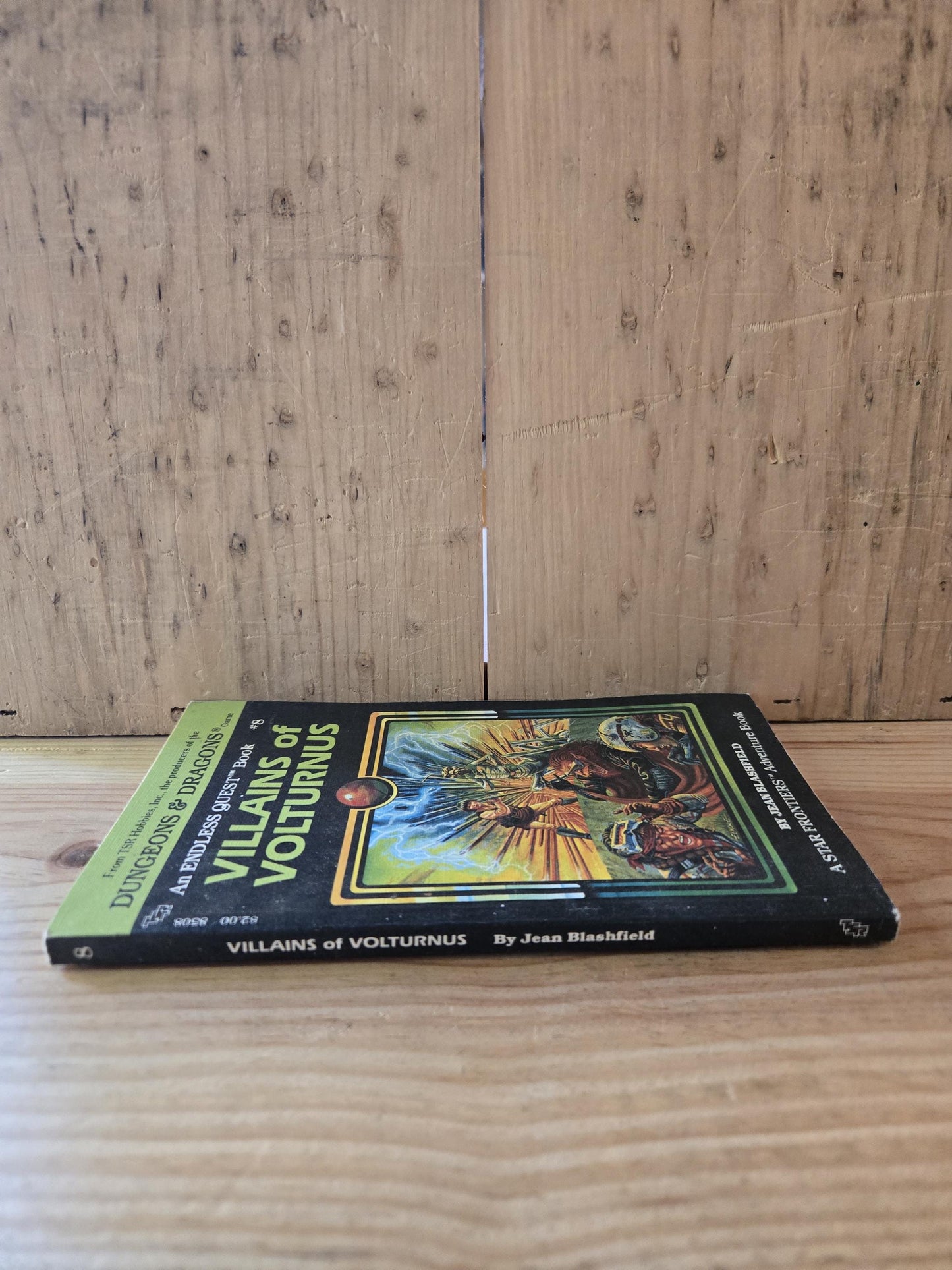 Dungeons & Dragons: An Endless Quest Book #8 Villains of Volturnus // Jean Blashfield // 1983 // Vintage Paperback Fantasy CYOA