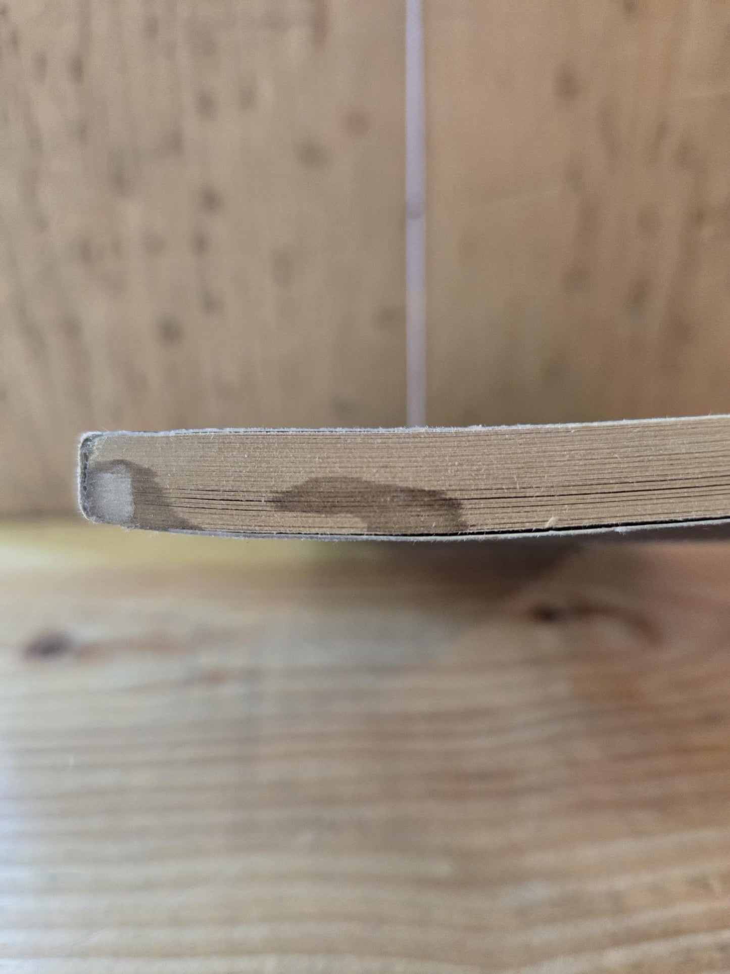 Dungeons & Dragons: An Endless Quest Book #8 Villains of Volturnus // Jean Blashfield // 1983 // Vintage Paperback Fantasy CYOA