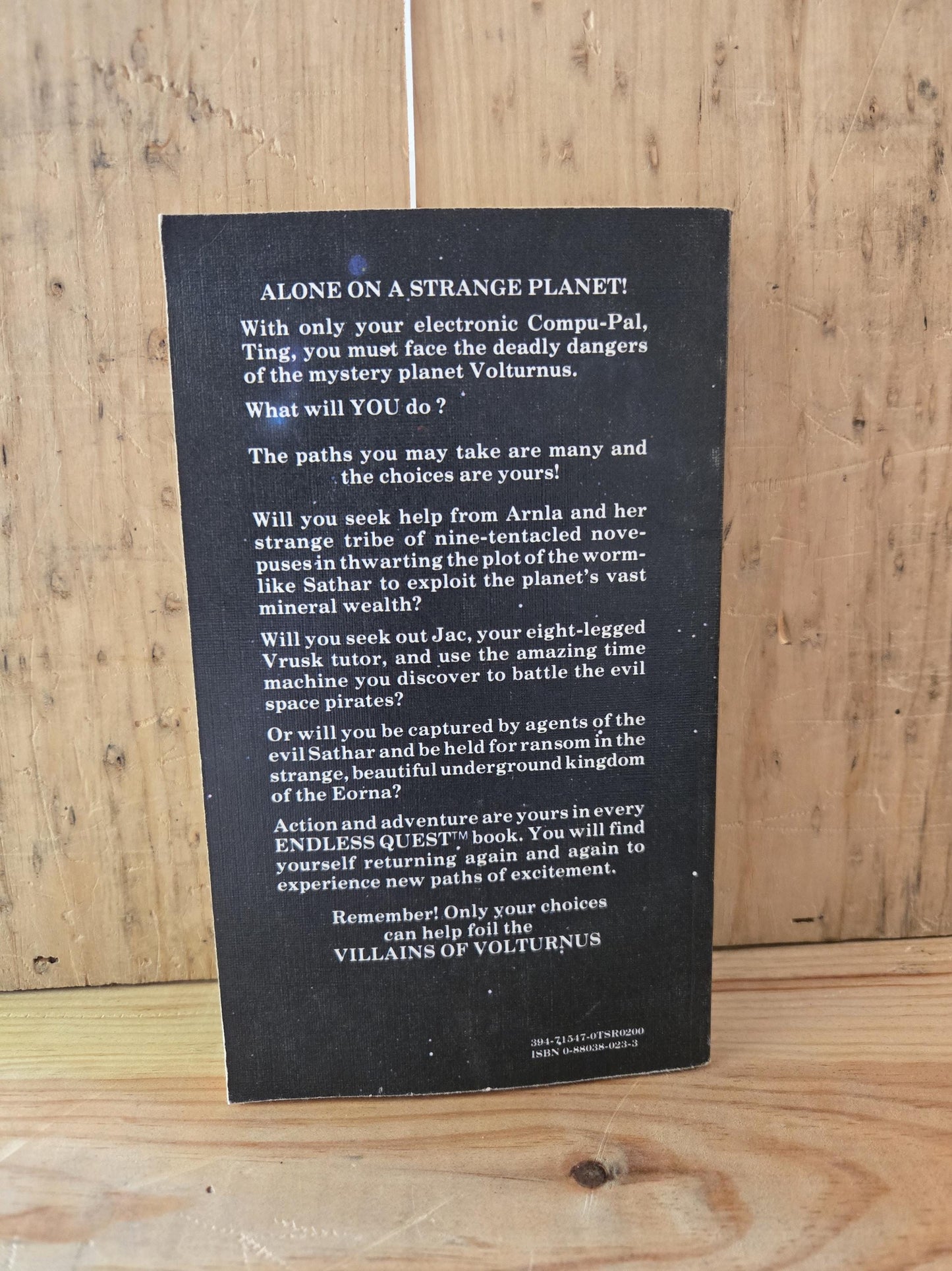 Dungeons & Dragons: An Endless Quest Book #8 Villains of Volturnus // Jean Blashfield // 1983 // Vintage Paperback Fantasy CYOA