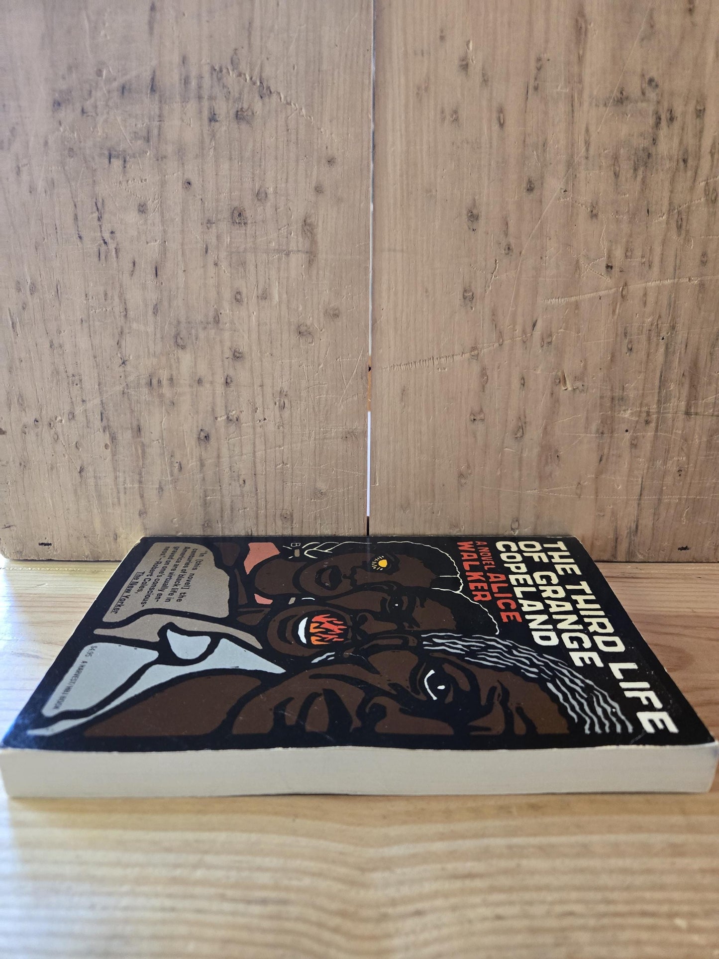 The Third Life of Grange Copeland // Alice Walker // 1970 // Vintage Paperback
