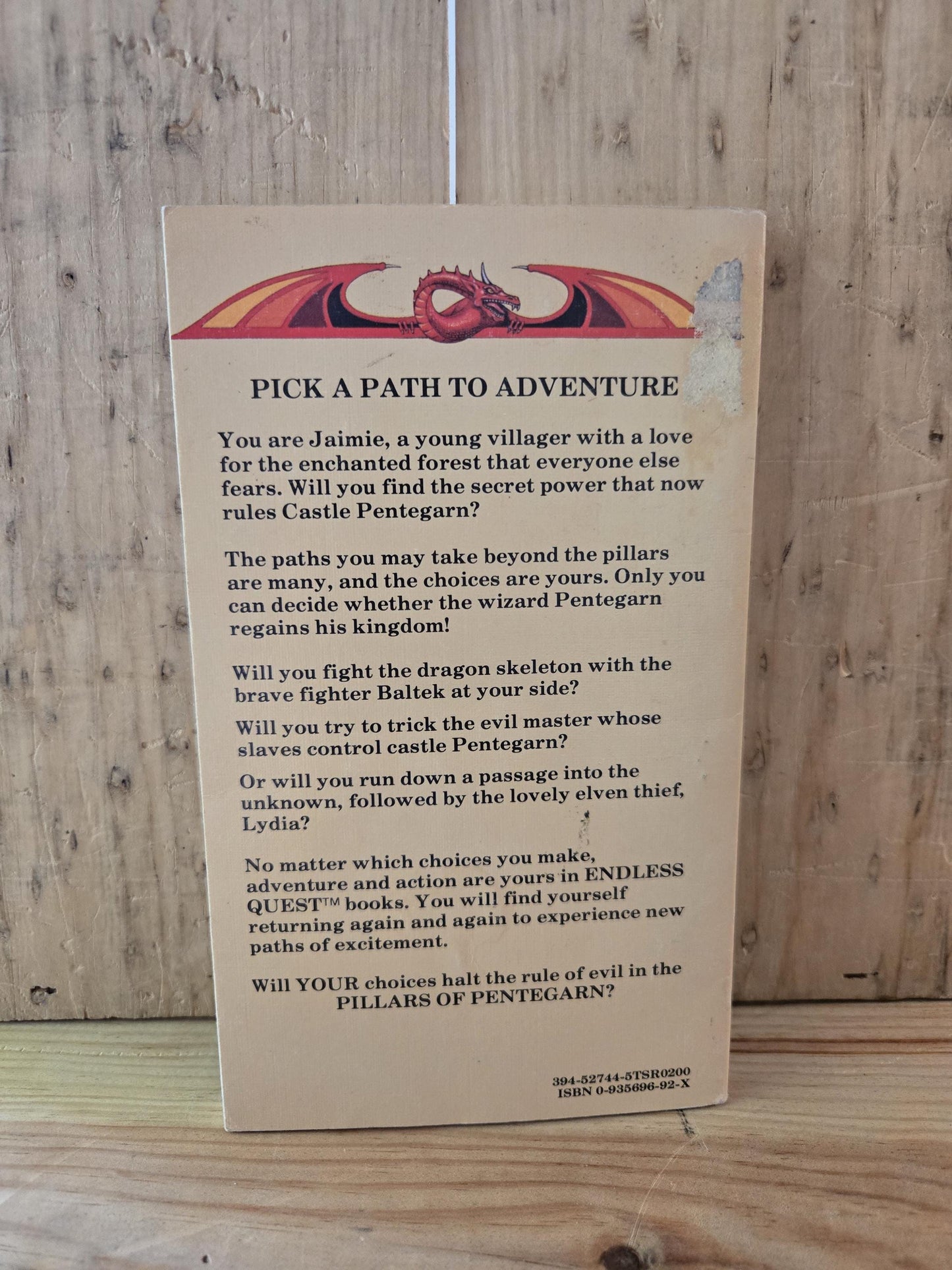 Dungeons & Dragons: An Endless Quest Book #3 Pillars of Pentegarn // Rose Estes // 1983 // Vintage Paperback Fantasy CYOA