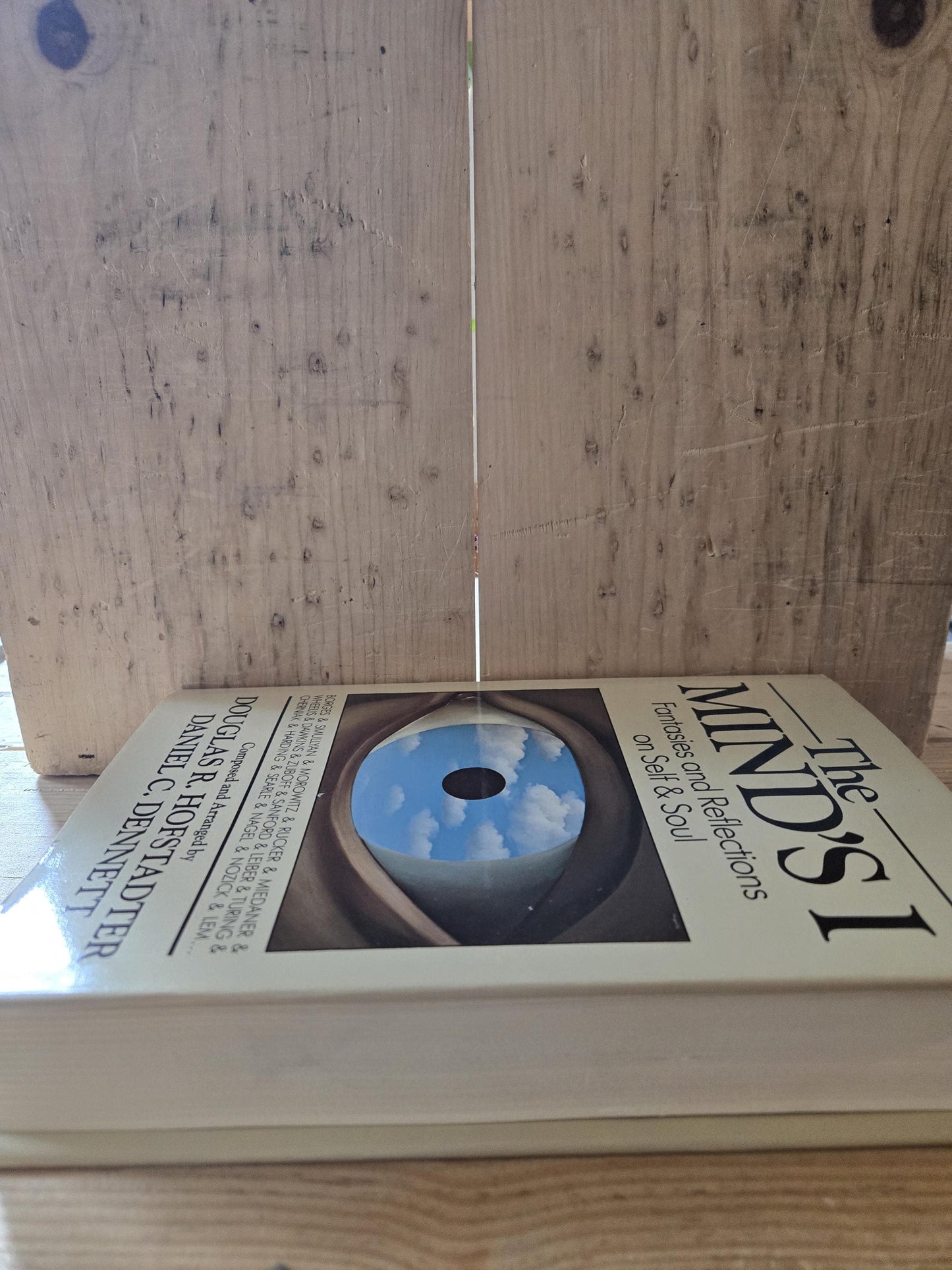 The Mind's I: Fantasies and Reflections on Self & Soul // Douglas R. Hofstadter and Daniel C. Dennett // 1st Print 1981 // Vintage Hardcover