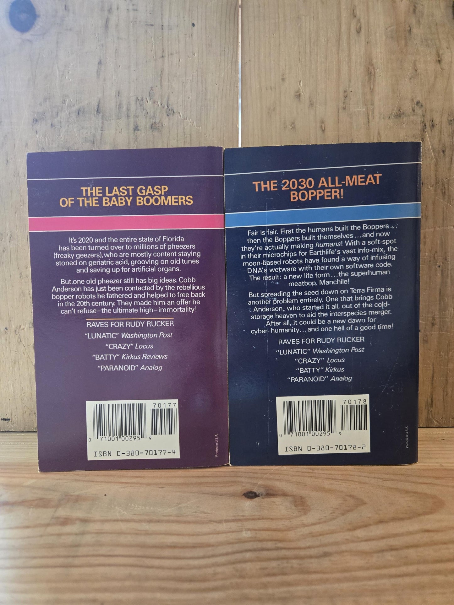 Software and Wetware (2 Book Set) // Rudy Rucker // 1987-1988 // Vintage Paperback Cyberpunk Sci-fi