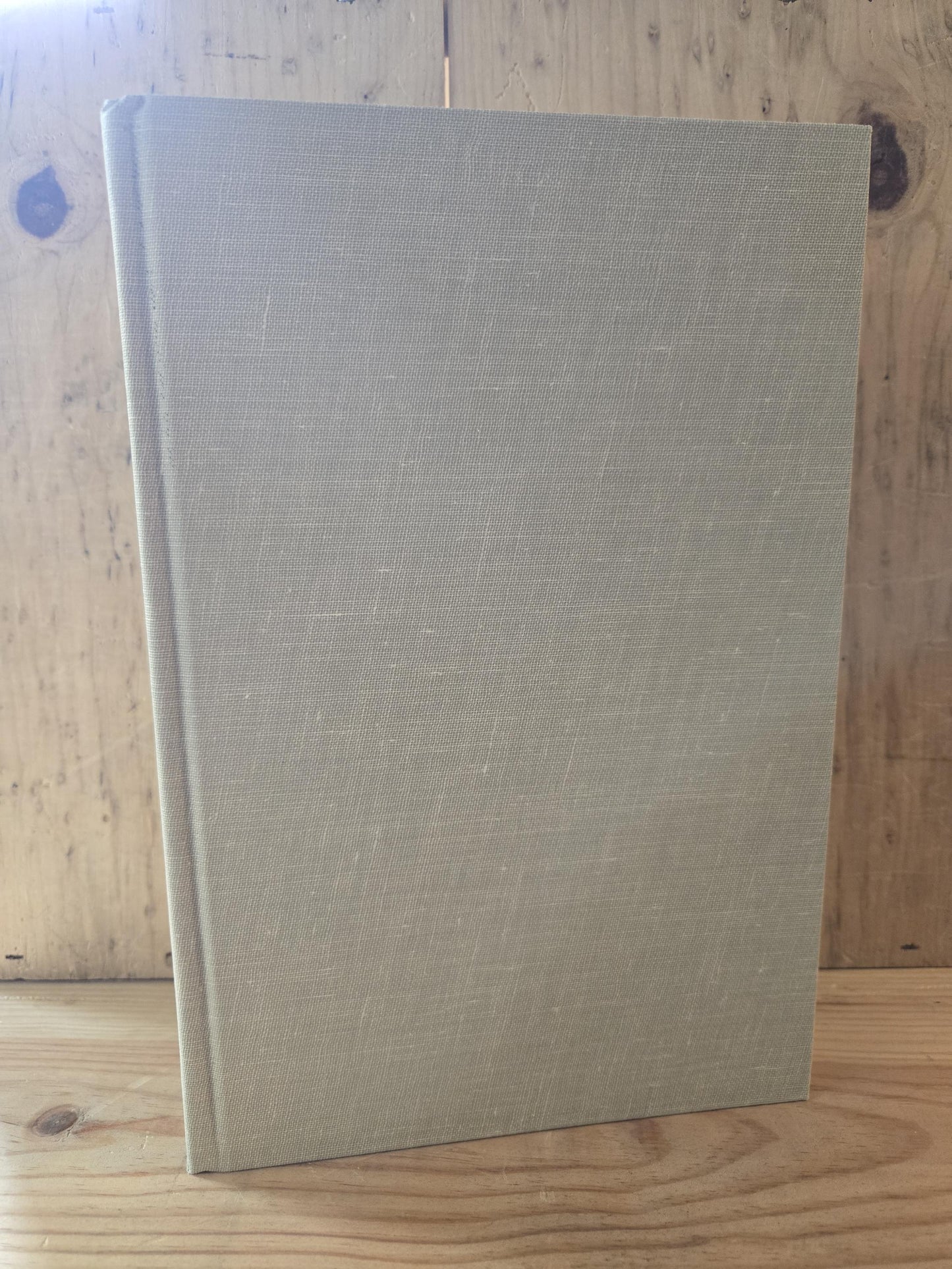 The Mind's I: Fantasies and Reflections on Self & Soul // Douglas R. Hofstadter and Daniel C. Dennett // 1st Print 1981 // Vintage Hardcover