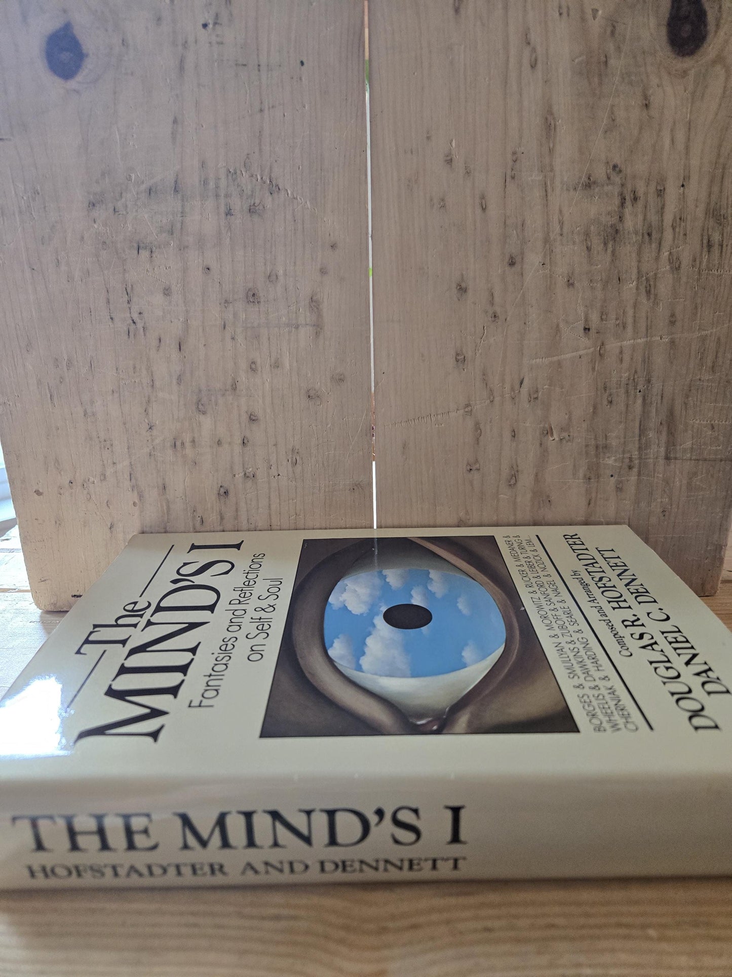 The Mind's I: Fantasies and Reflections on Self & Soul // Douglas R. Hofstadter and Daniel C. Dennett // 1st Print 1981 // Vintage Hardcover