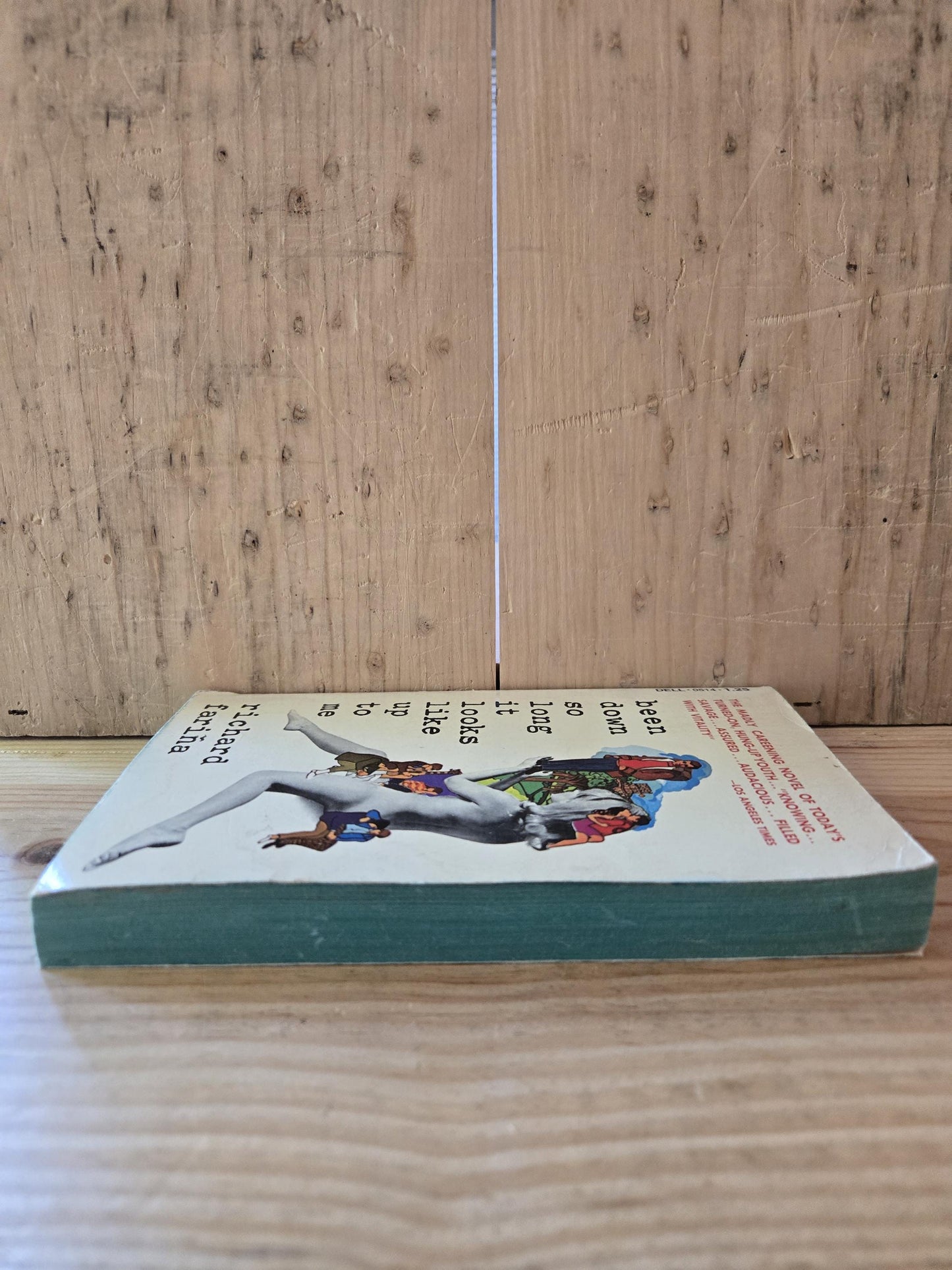 Been Down So Long It Looks Like Up To Me // Richard Fariña 1974 // Vintage Paperback
