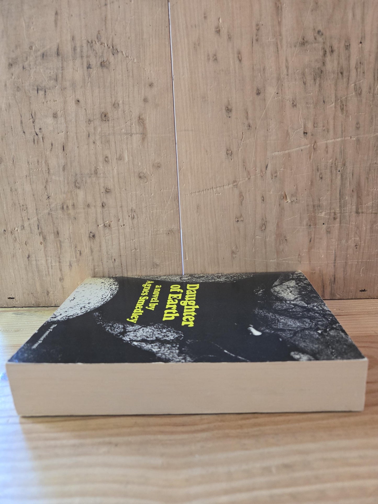 Daughter of Earth // Agnes Smedley // 1972 // Vintage Paperback