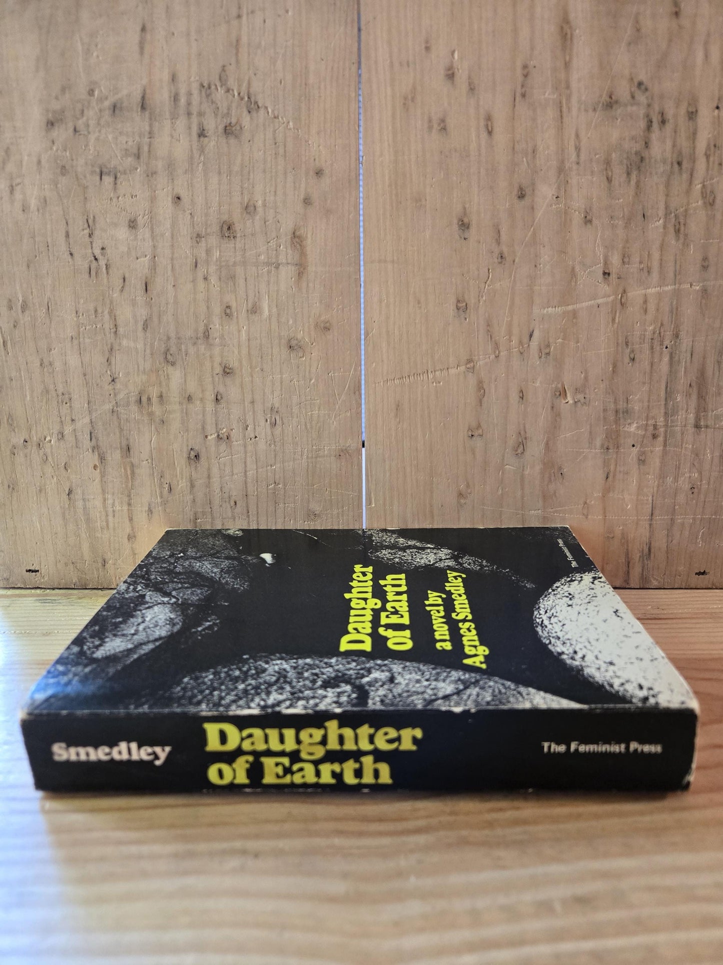 Daughter of Earth // Agnes Smedley // 1972 // Vintage Paperback