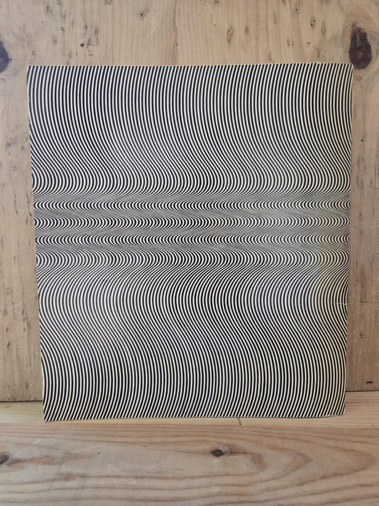 The Responsive Eye - The Museum of Modern Art // William C. Seitz // 1965 // Vintage Art Exhibit Book Guide