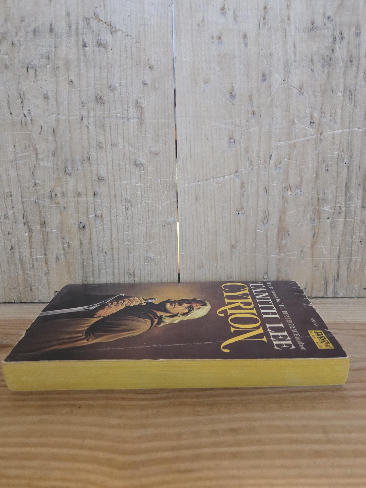 Cyrion // Tanith Lee // DAW 1st Printing 1982 // Vintage Paperback Fantasy